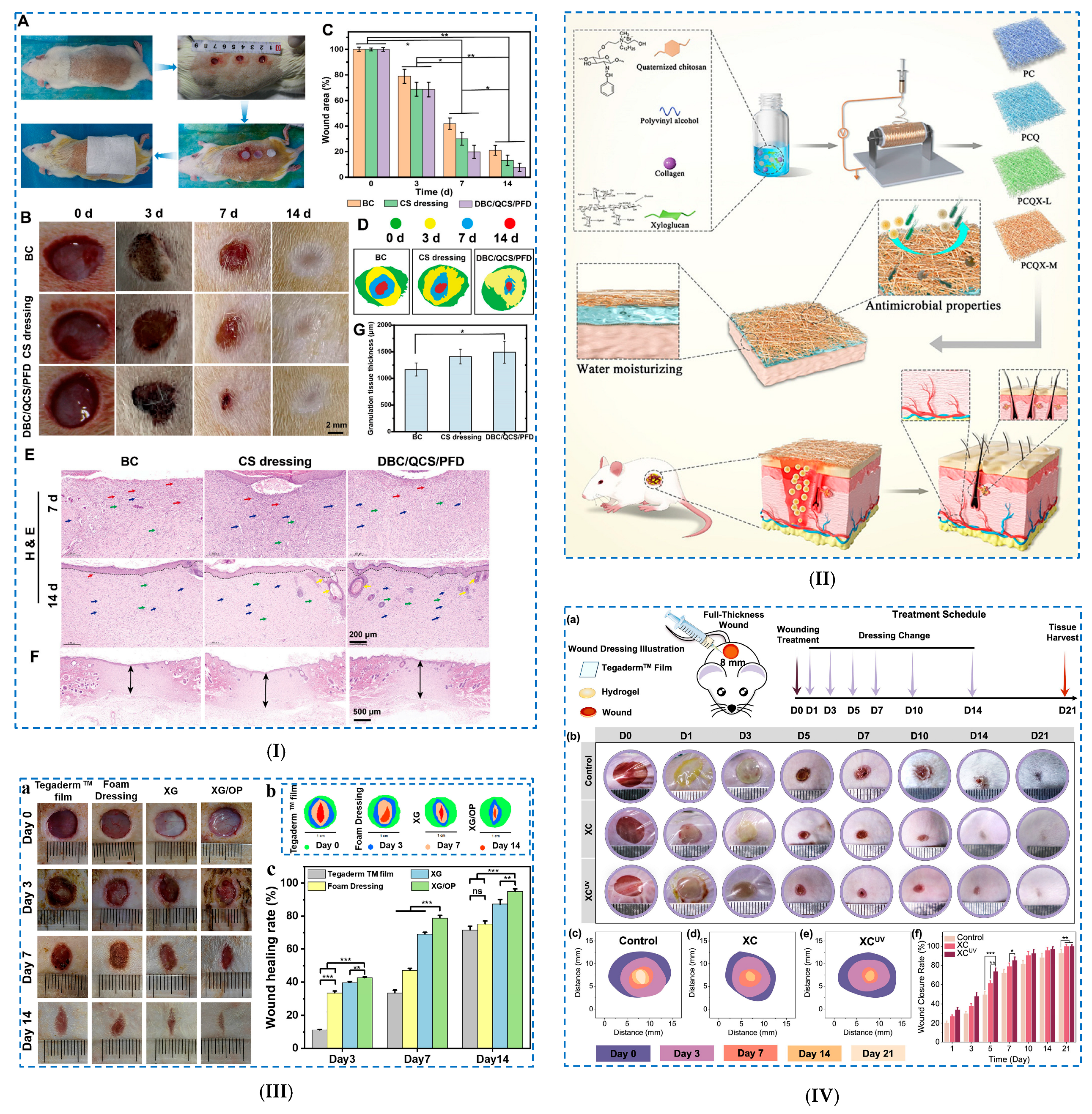 Polymers 17 02760 g011