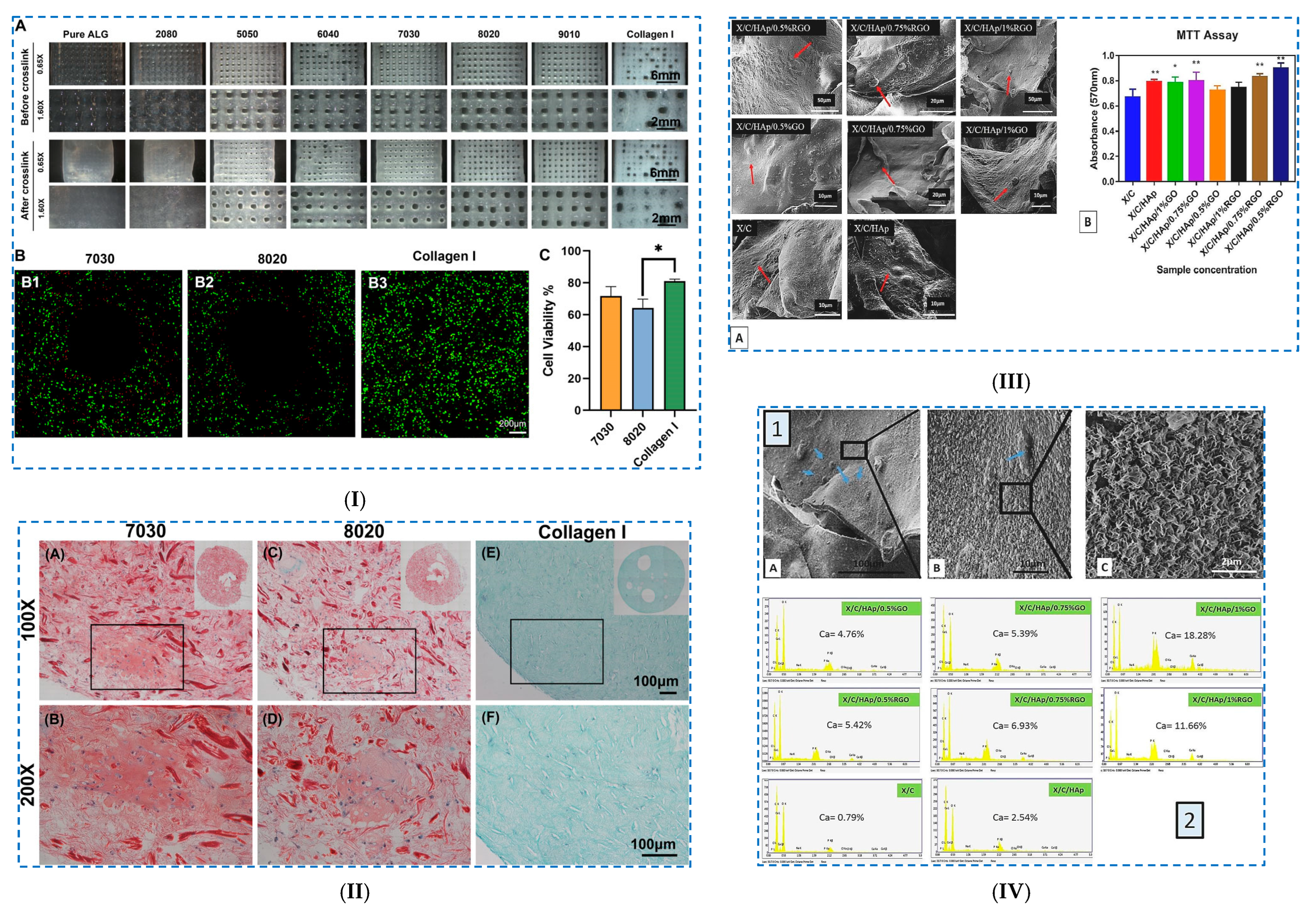 Polymers 17 02760 g012