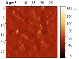 Polymers 17 02761 i006 Polymers 17 02761 i006
