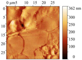 Polymers 17 02761 i012 Polymers 17 02761 i012