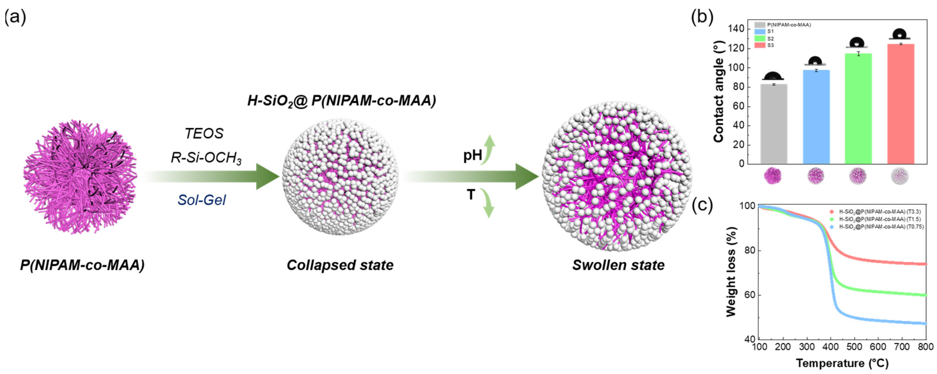 Polymers 17 02762 g001 Polymers 17 02762 g001