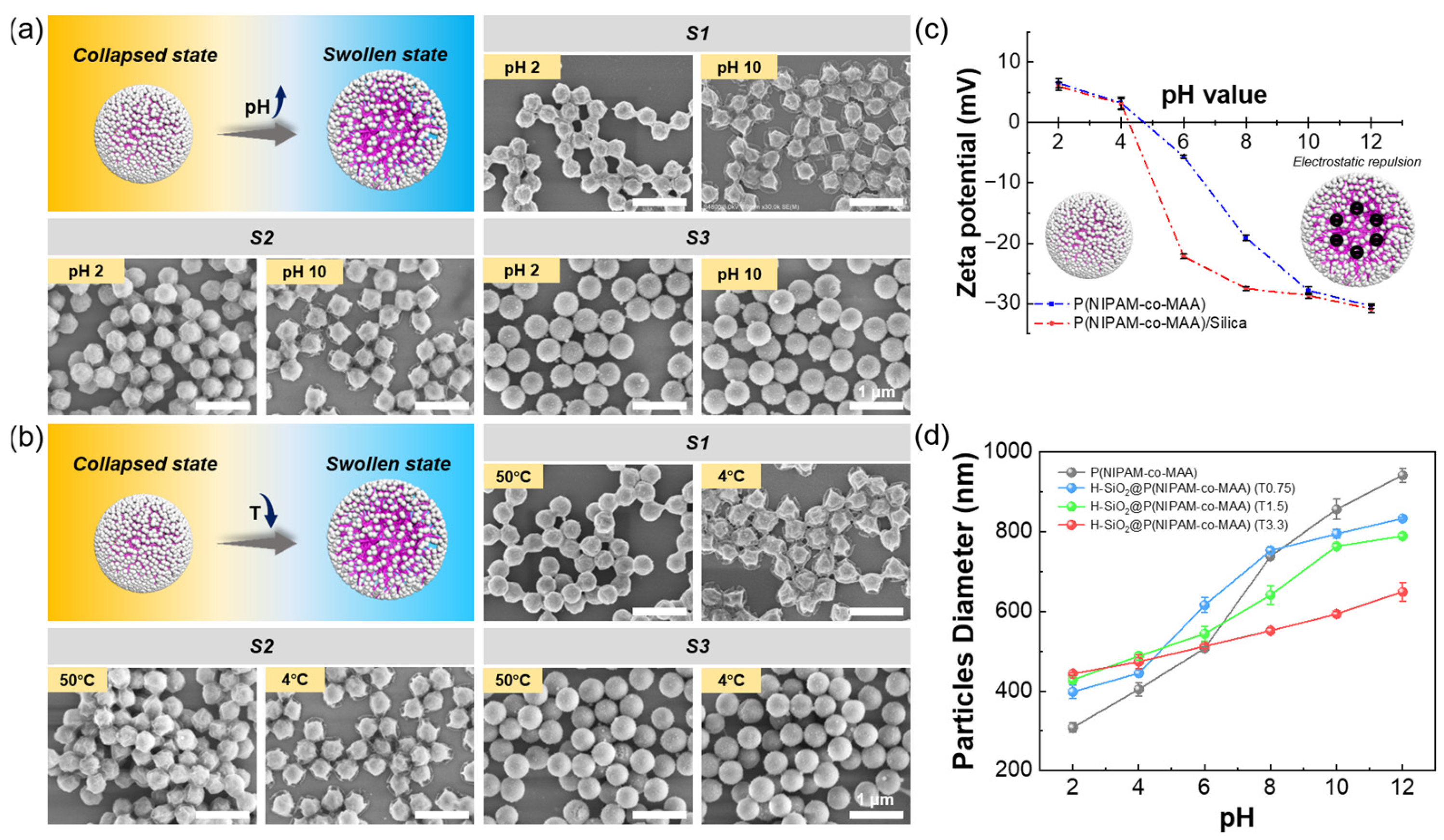 Polymers 17 02762 g002 Polymers 17 02762 g002