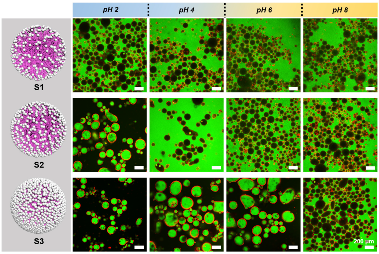 Polymers 17 02762 g004 Polymers 17 02762 g004