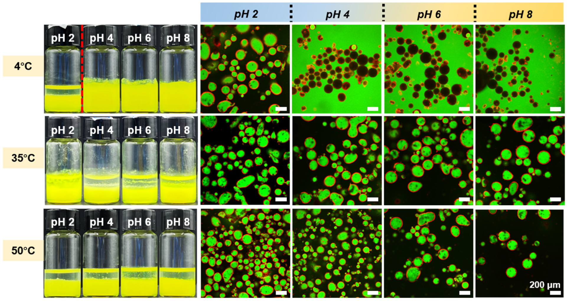 Polymers 17 02762 g005 Polymers 17 02762 g005