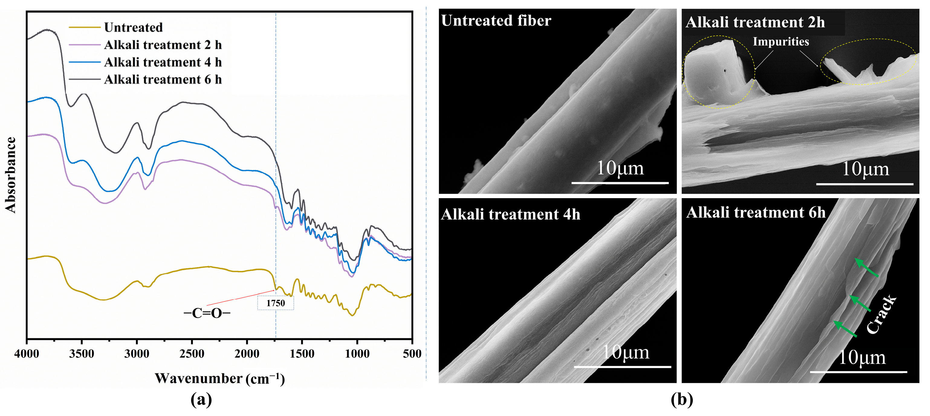 Polymers 17 02765 g001 Polymers 17 02765 g001