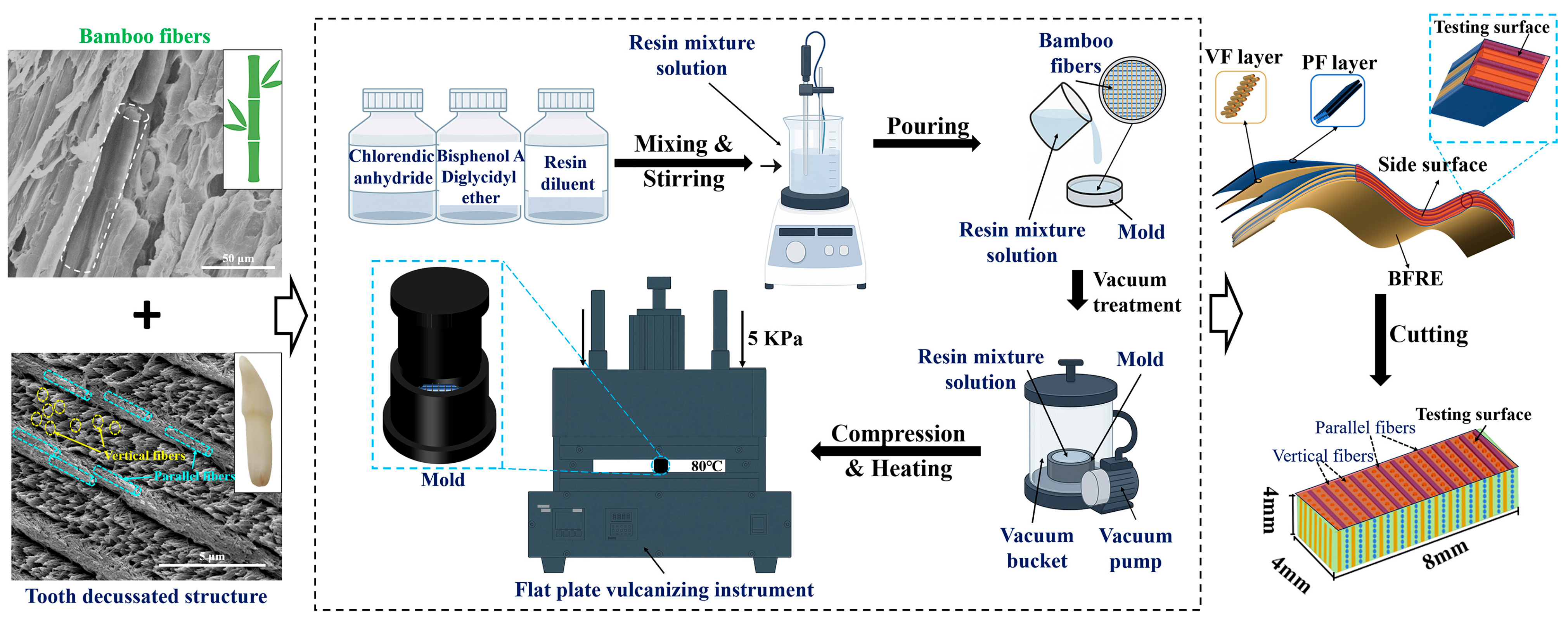 Polymers 17 02765 g002 Polymers 17 02765 g002