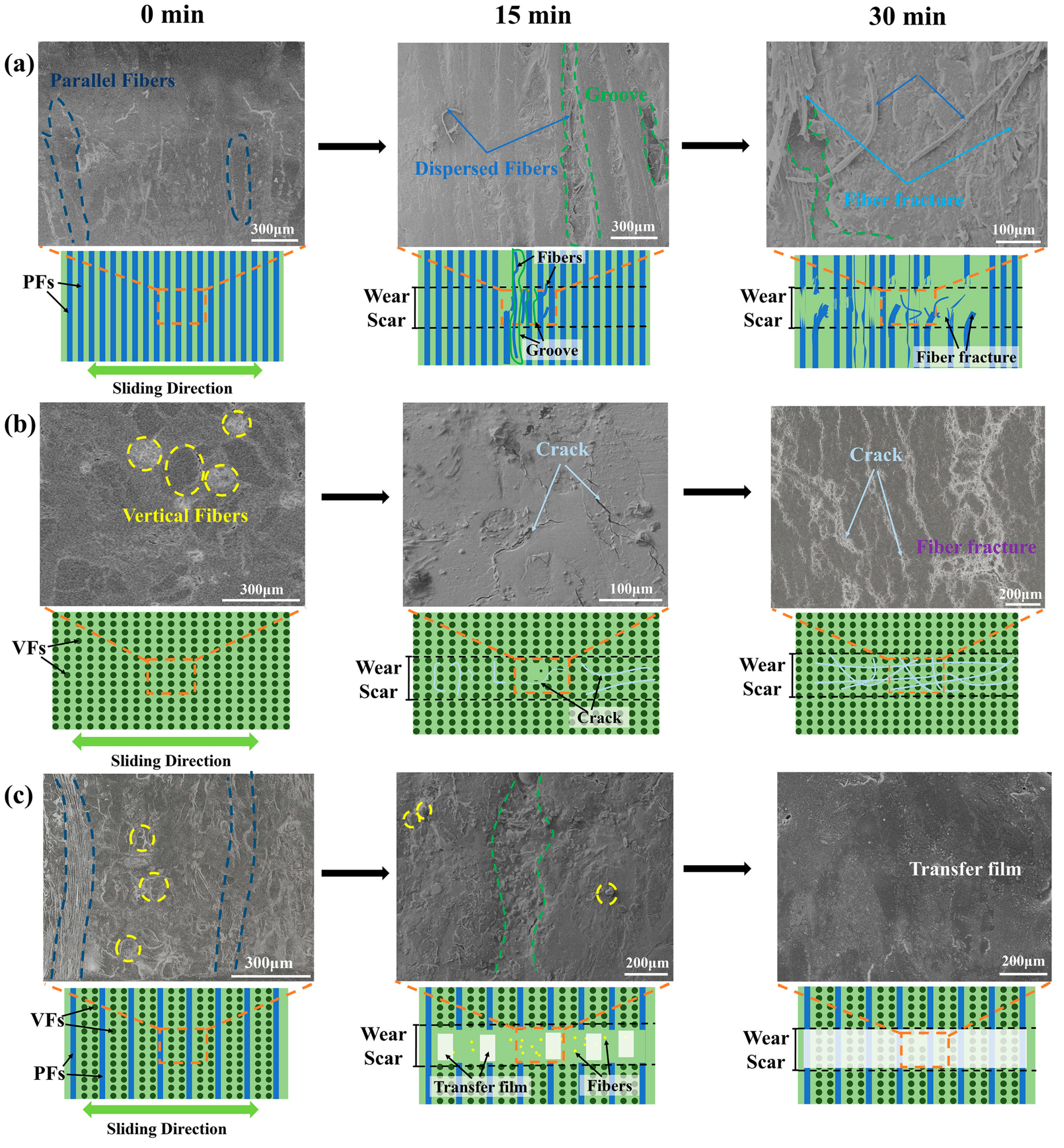 Polymers 17 02765 g011 Polymers 17 02765 g011