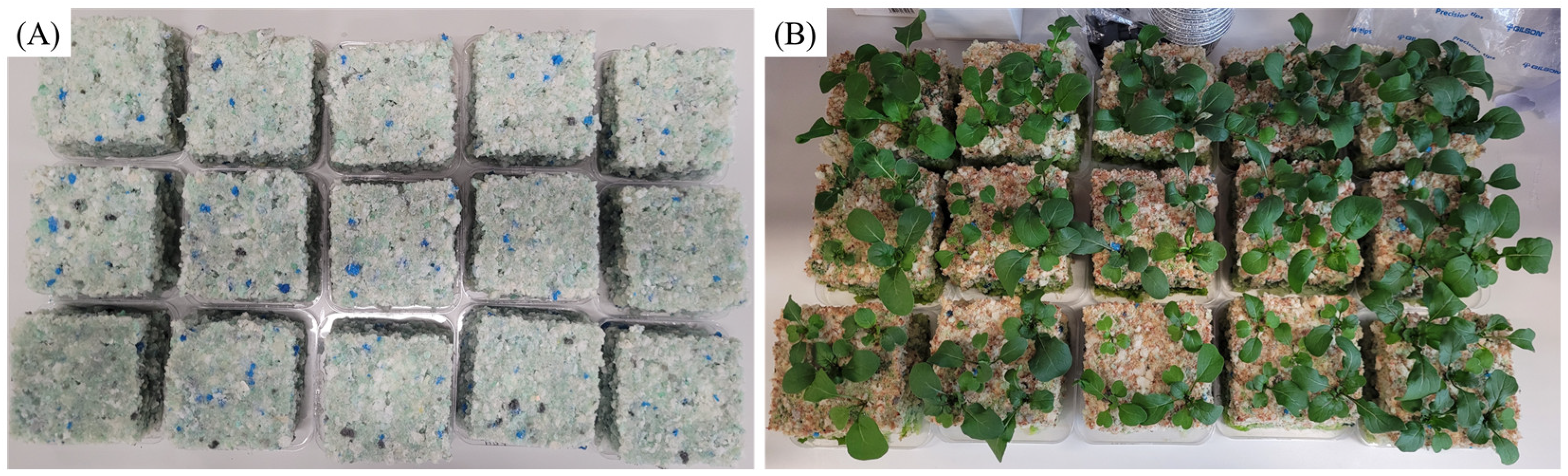 Polymers 17 02770 g009
