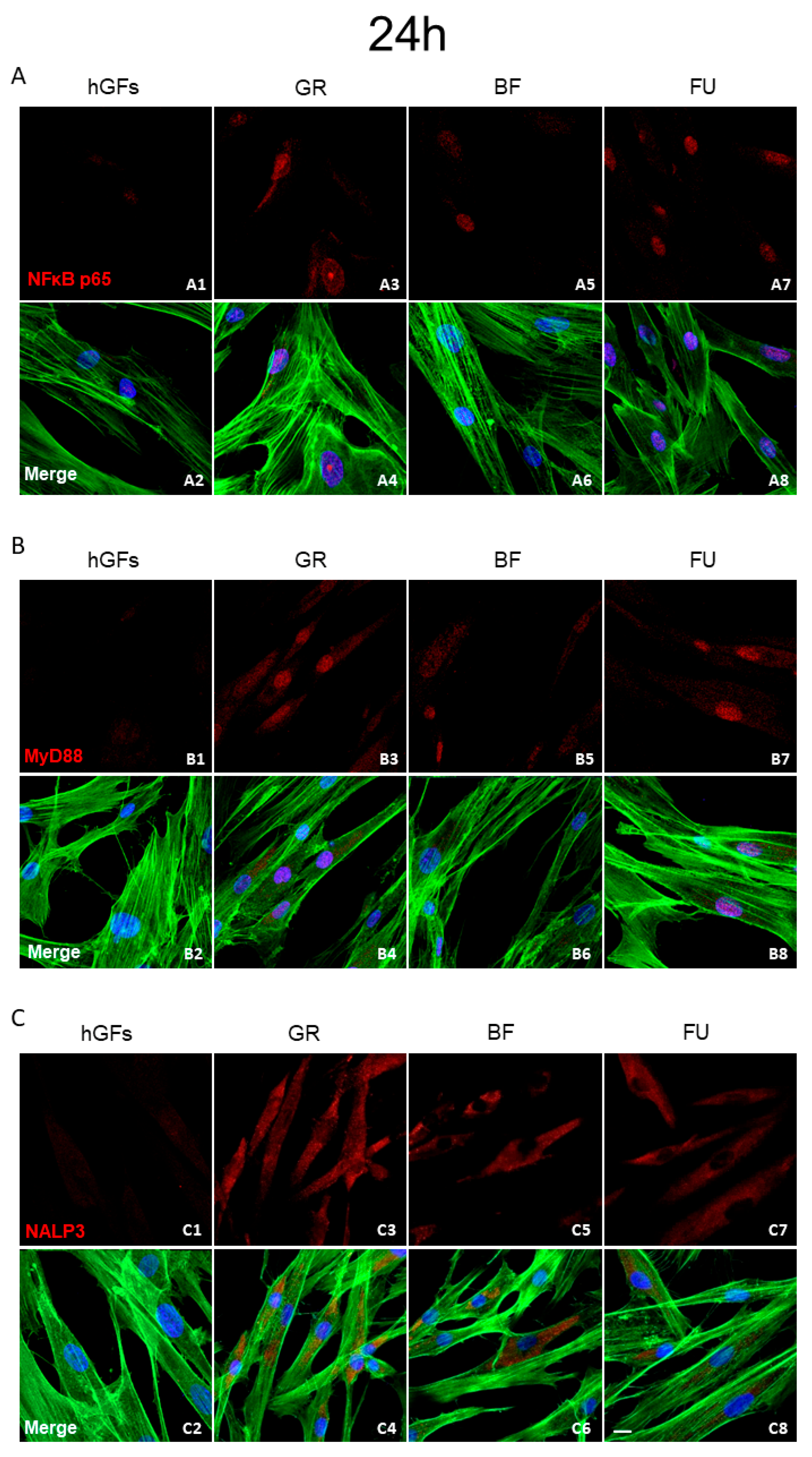 Polymers 17 02779 g002