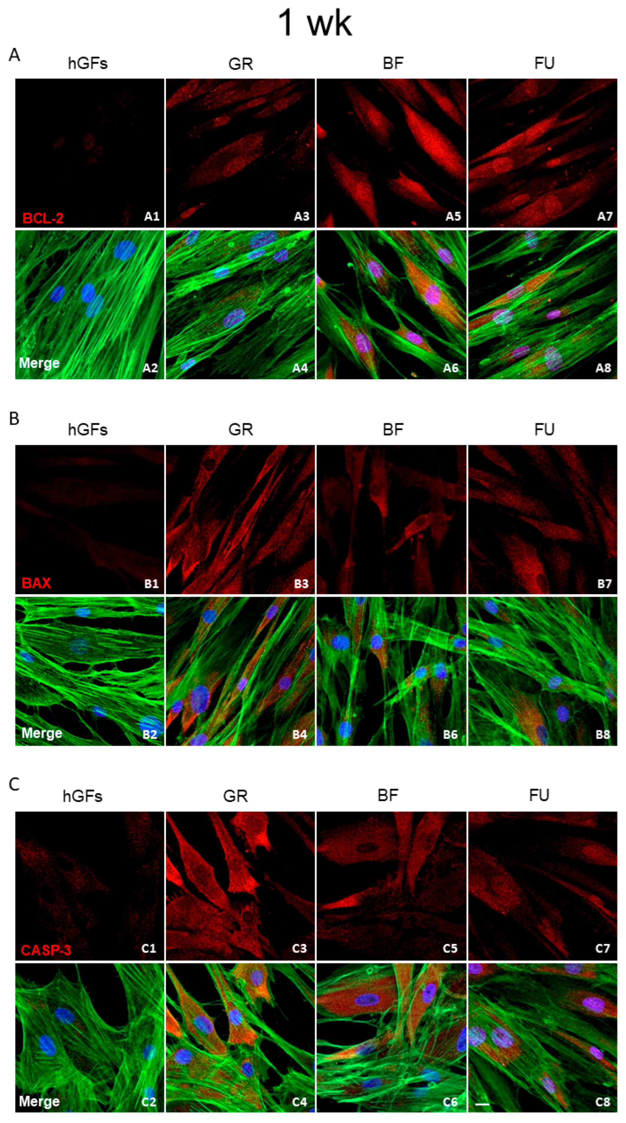 Polymers 17 02779 g006