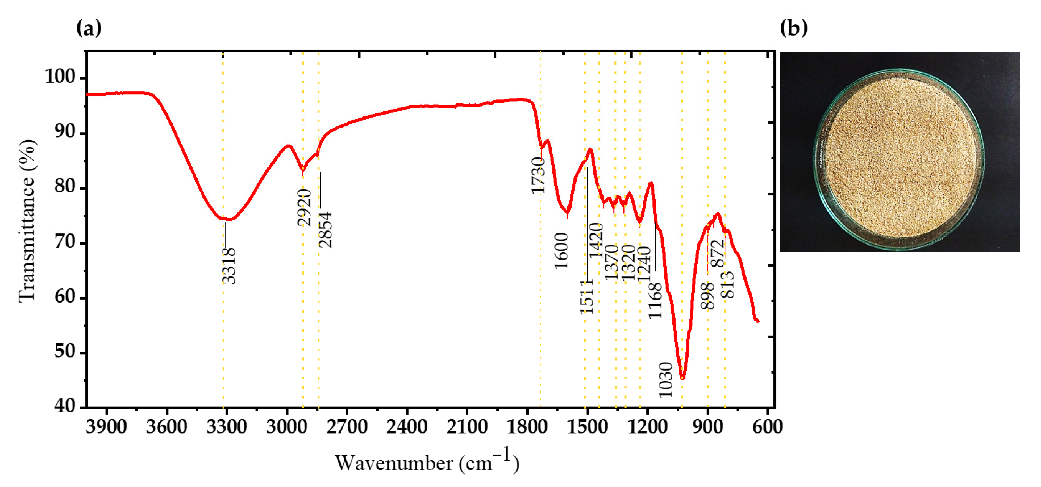 Polymers 17 02783 g001