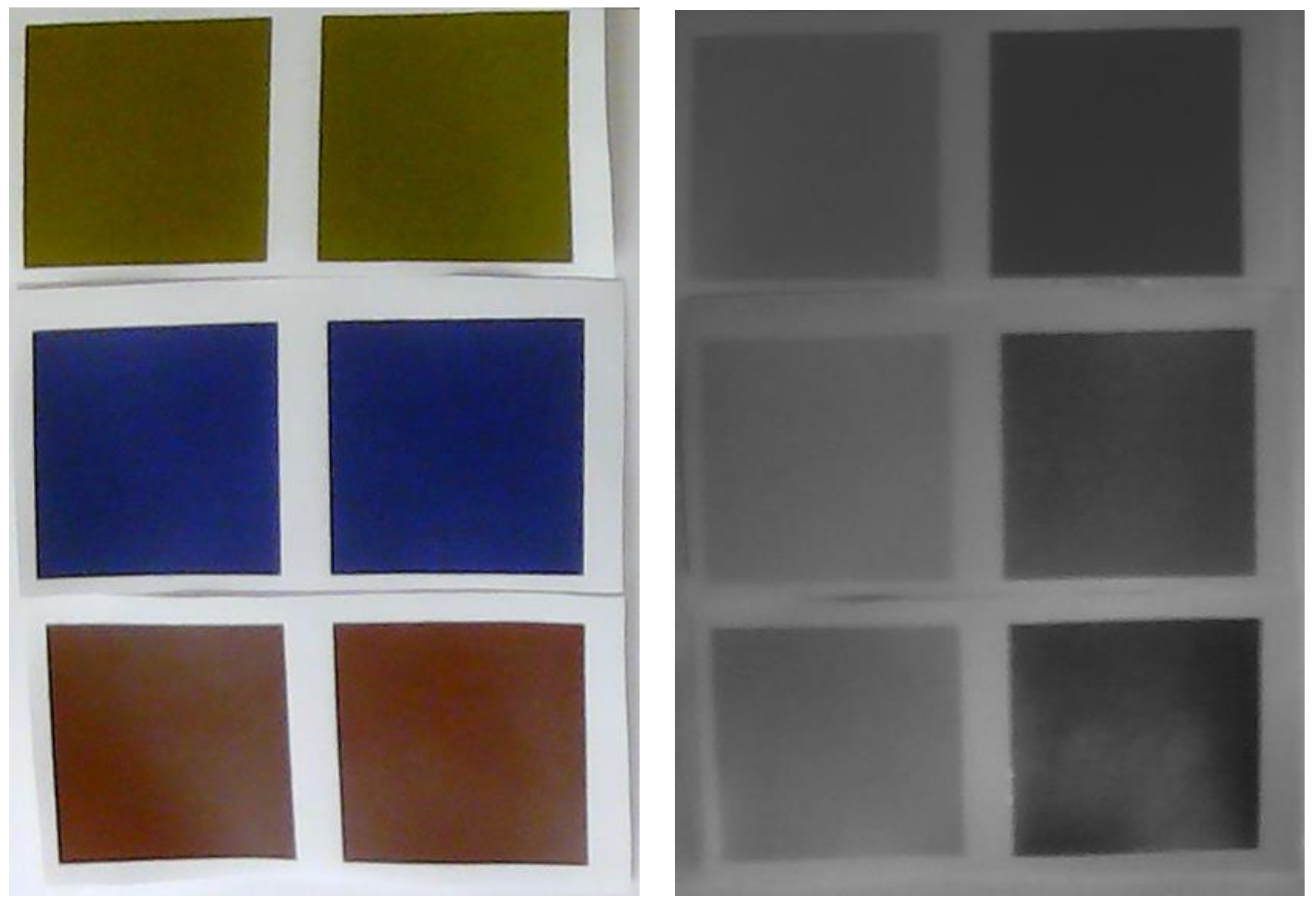 Polymers 17 02784 g012