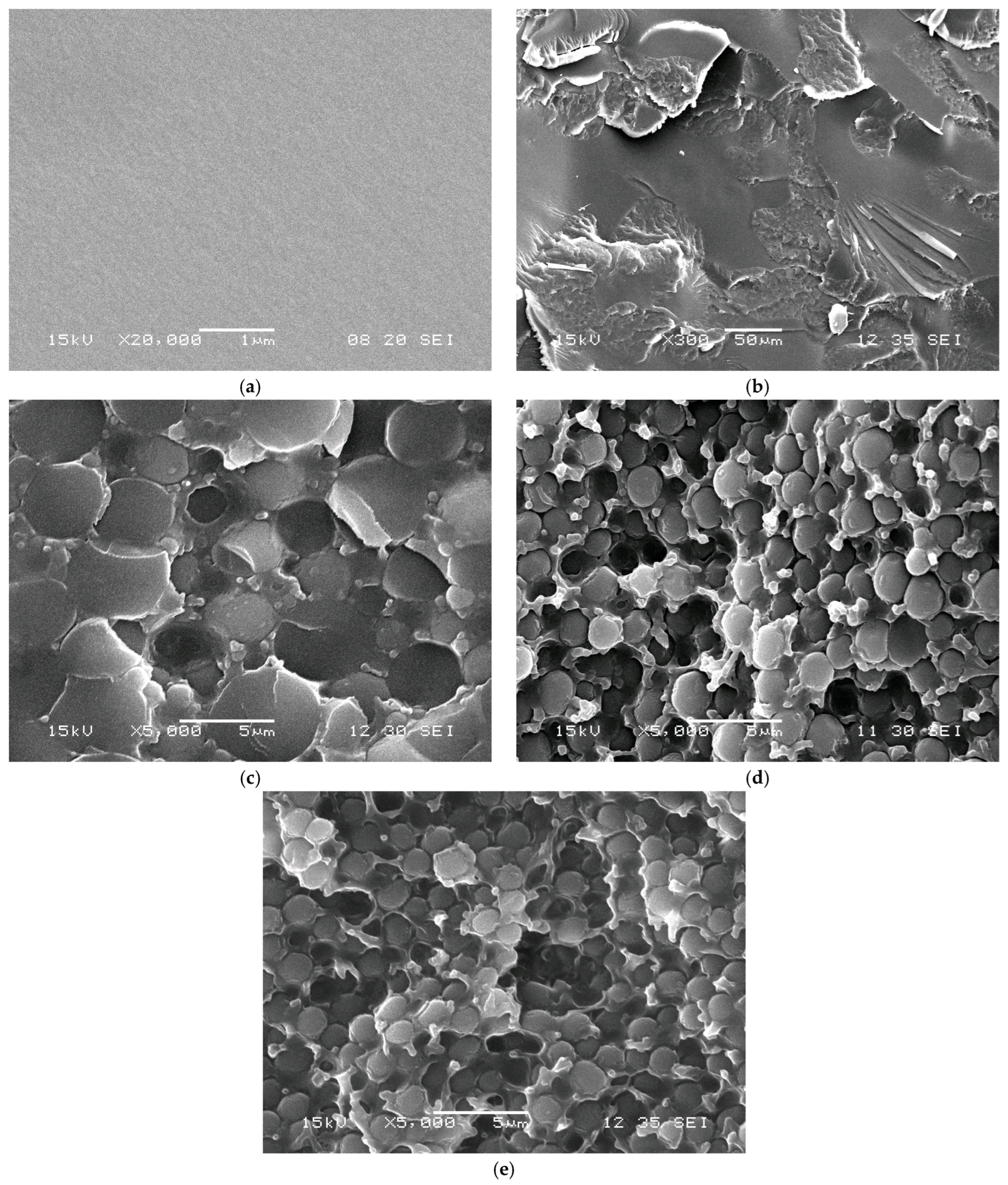 Polymers 17 02787 g012