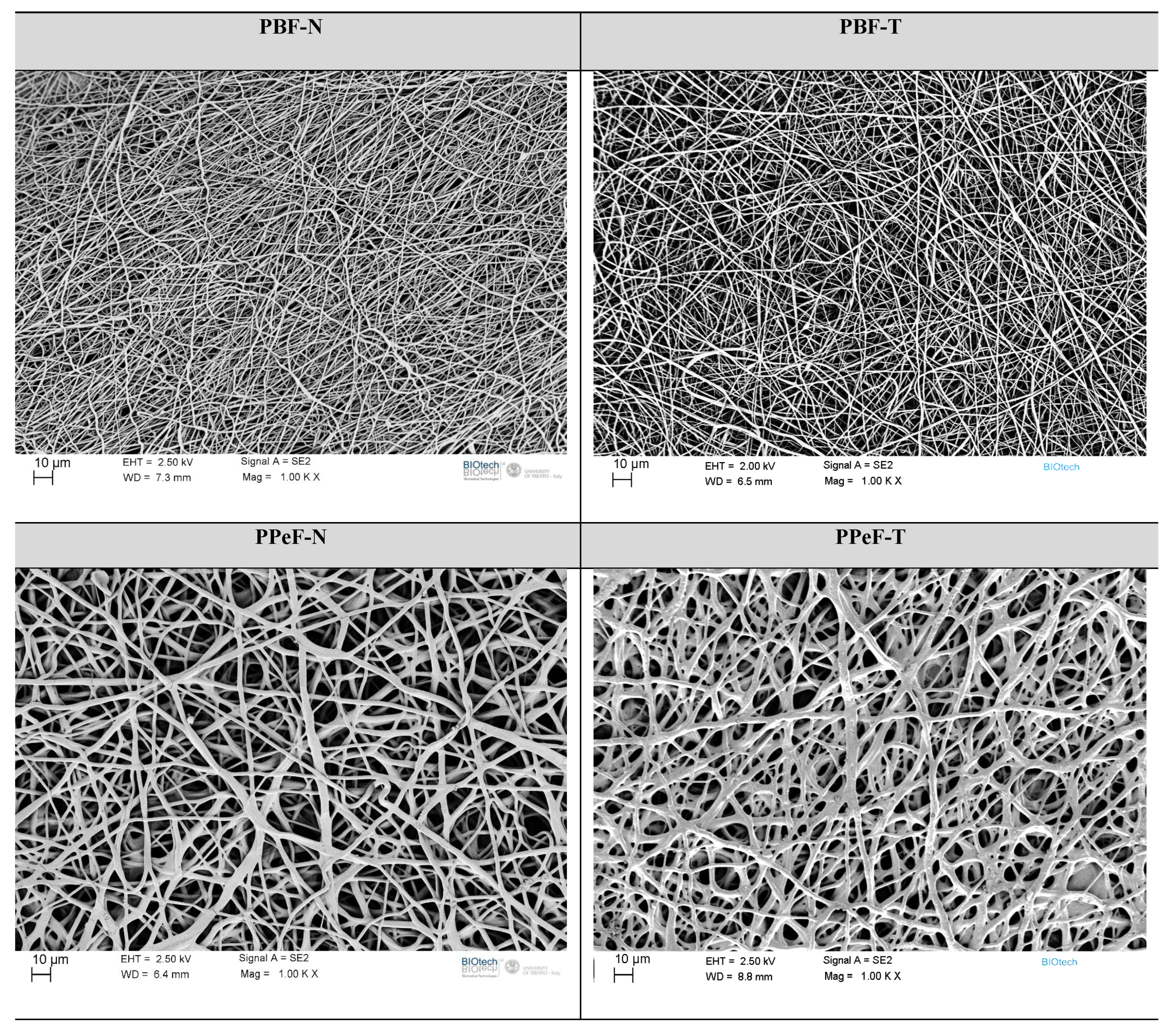 Polymers 17 02790 g003 Polymers 17 02790 g003