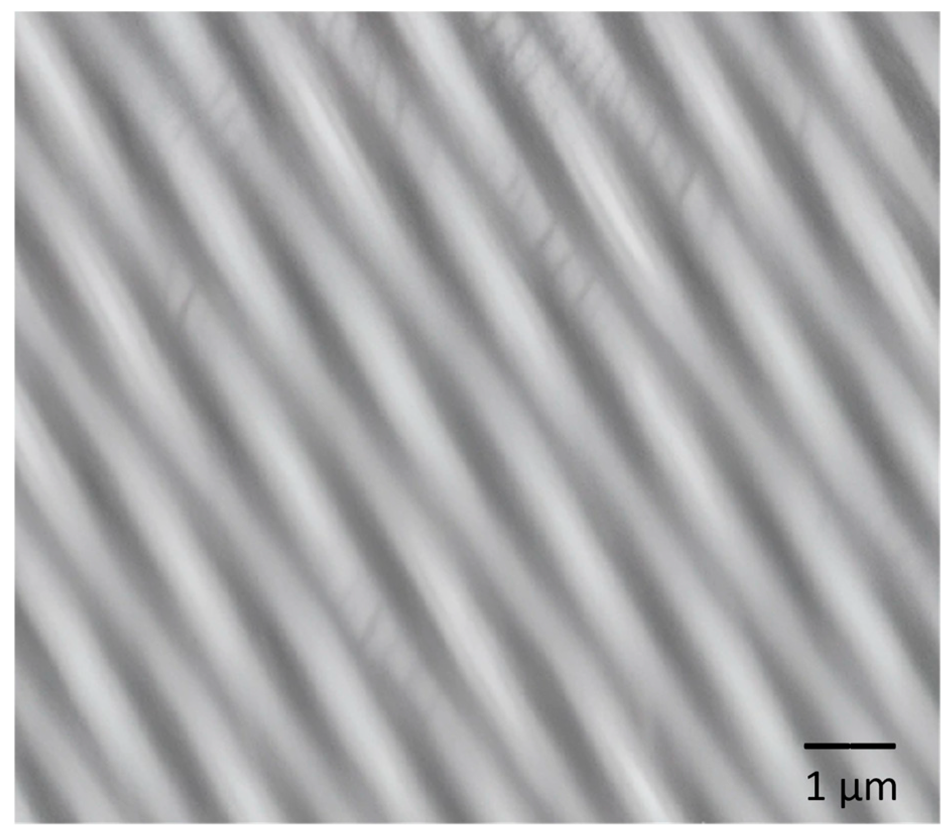 Polymers 17 02796 g001