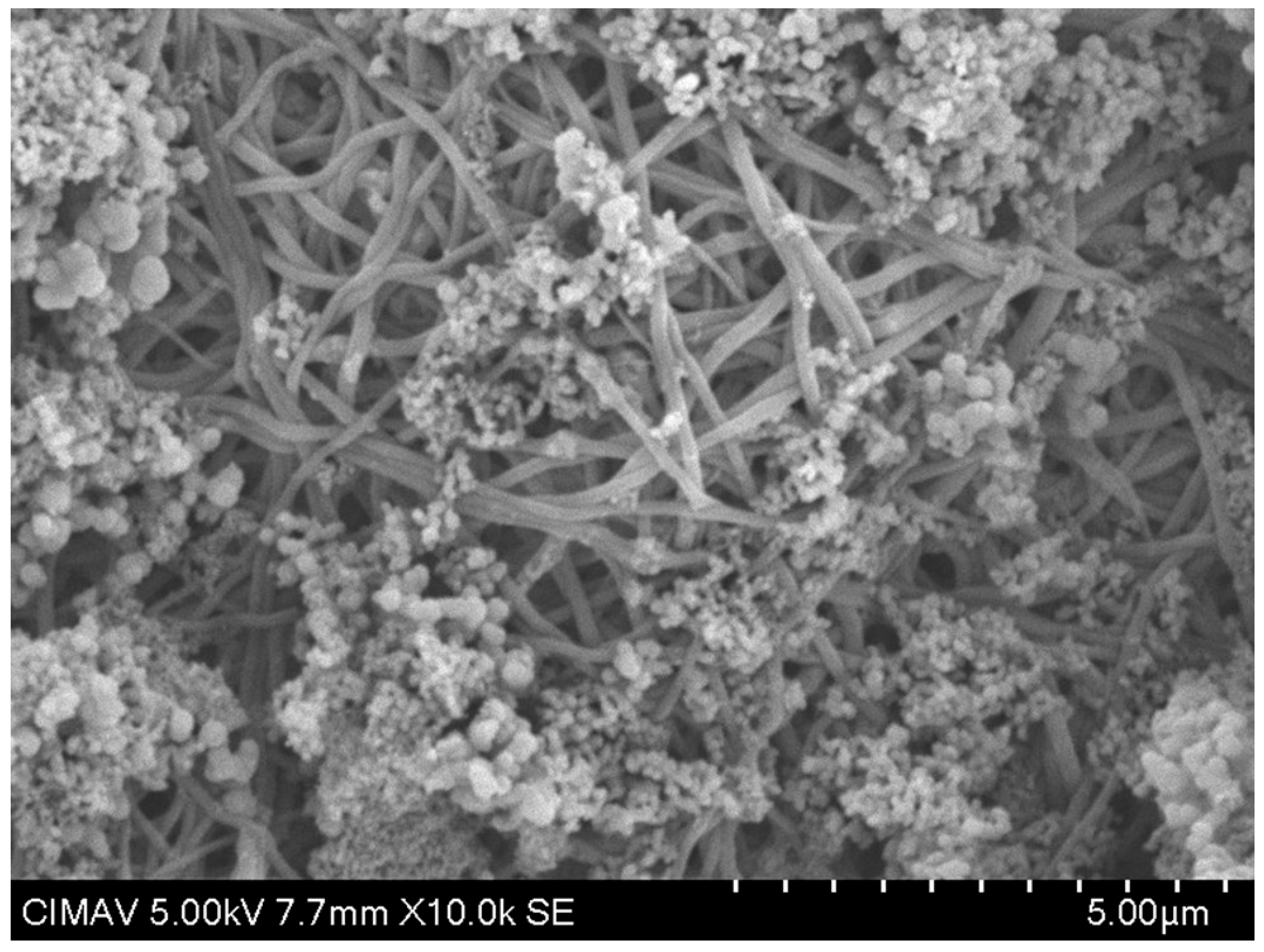 Polymers 17 02796 g013