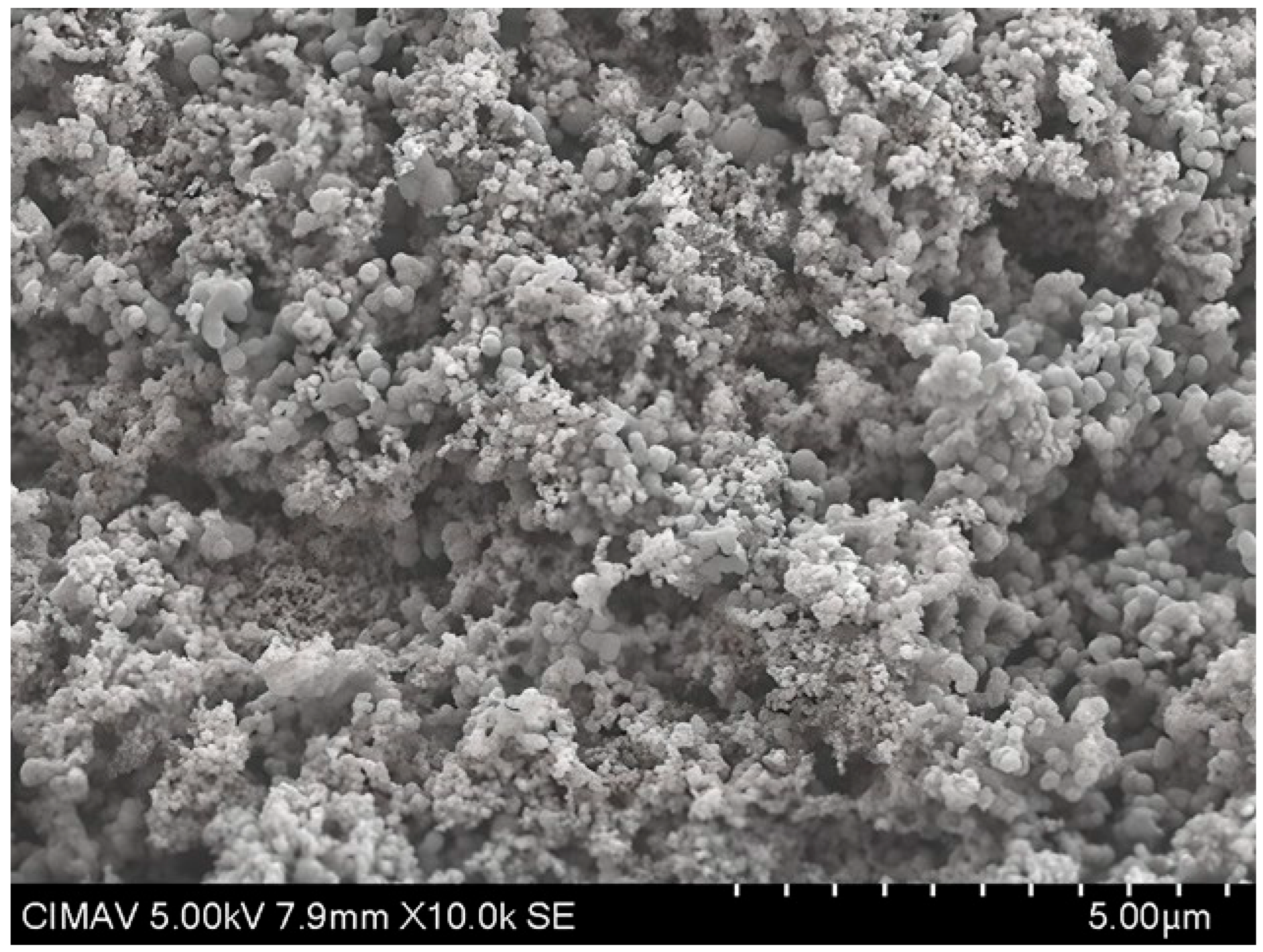 Polymers 17 02796 g014