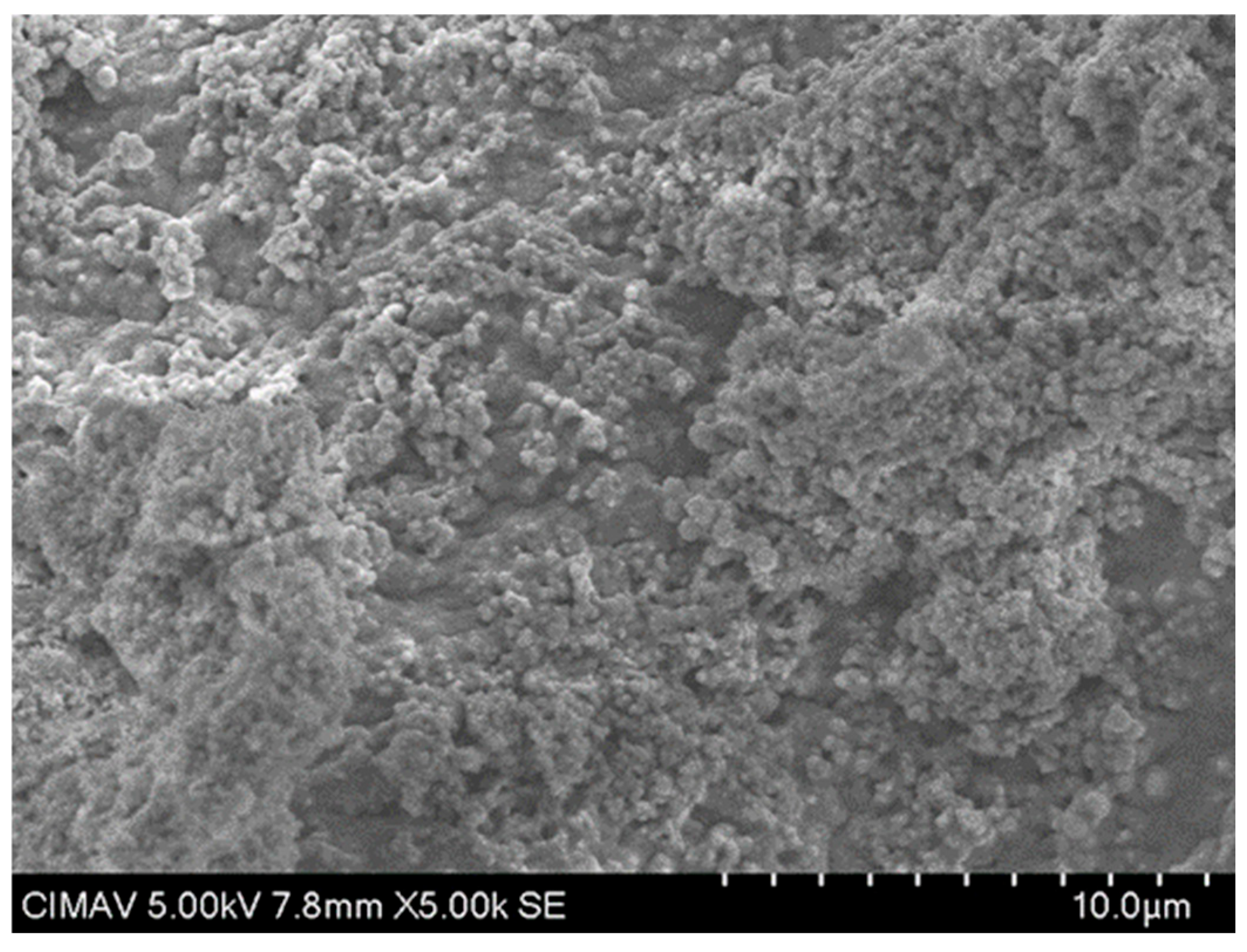 Polymers 17 02796 g015