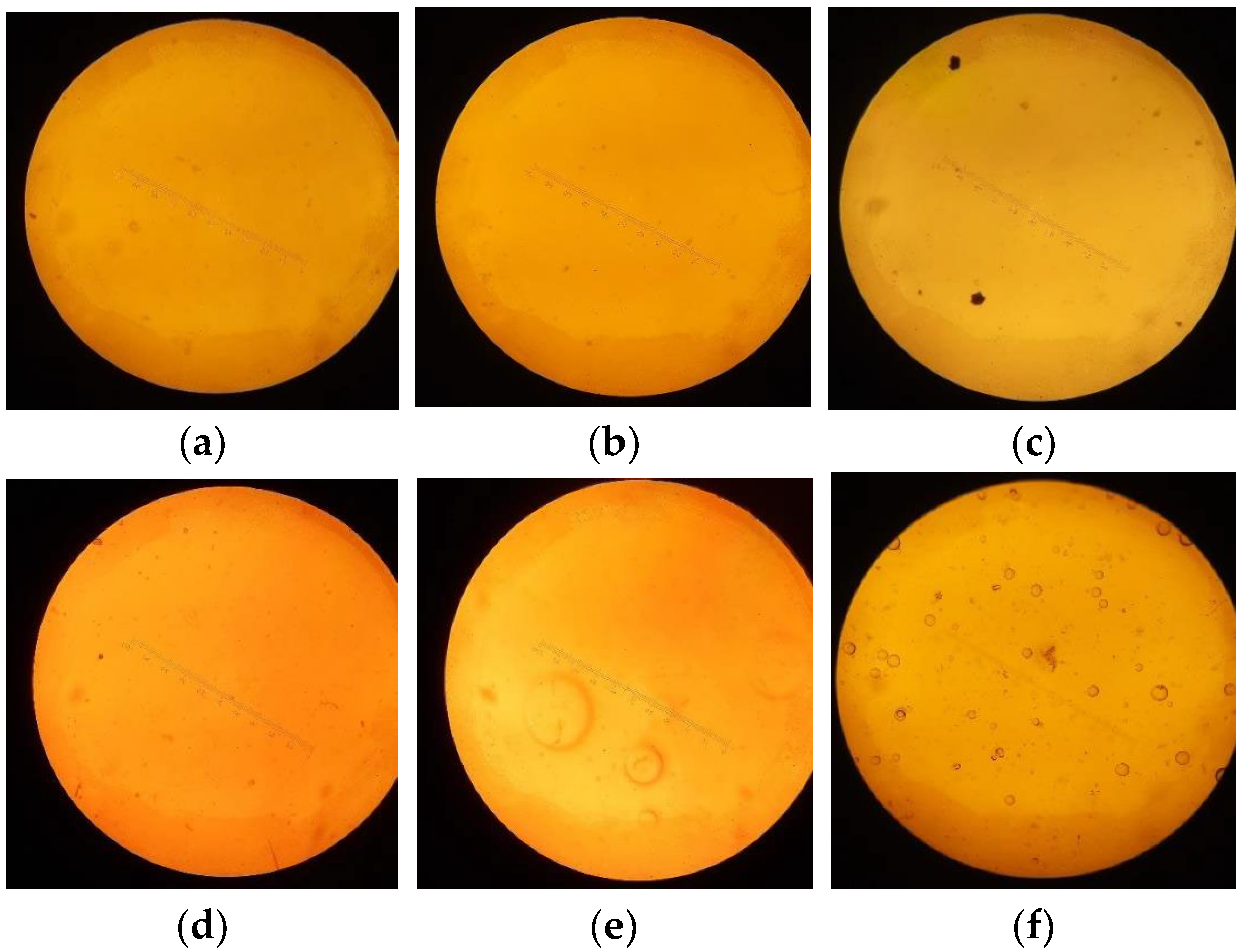 Polymers 17 02803 g004 Polymers 17 02803 g004