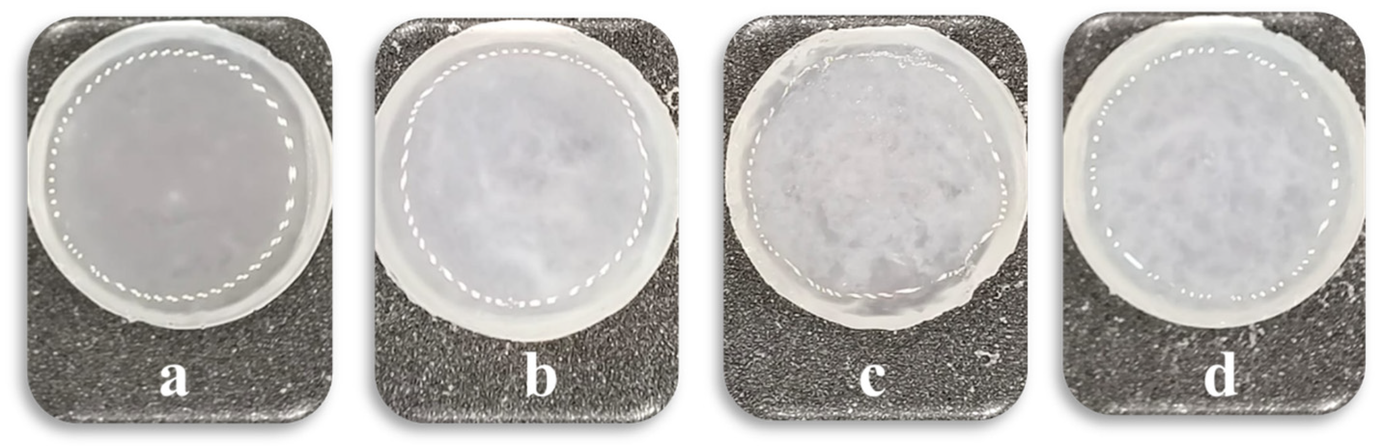 Polymers 17 02805 g002