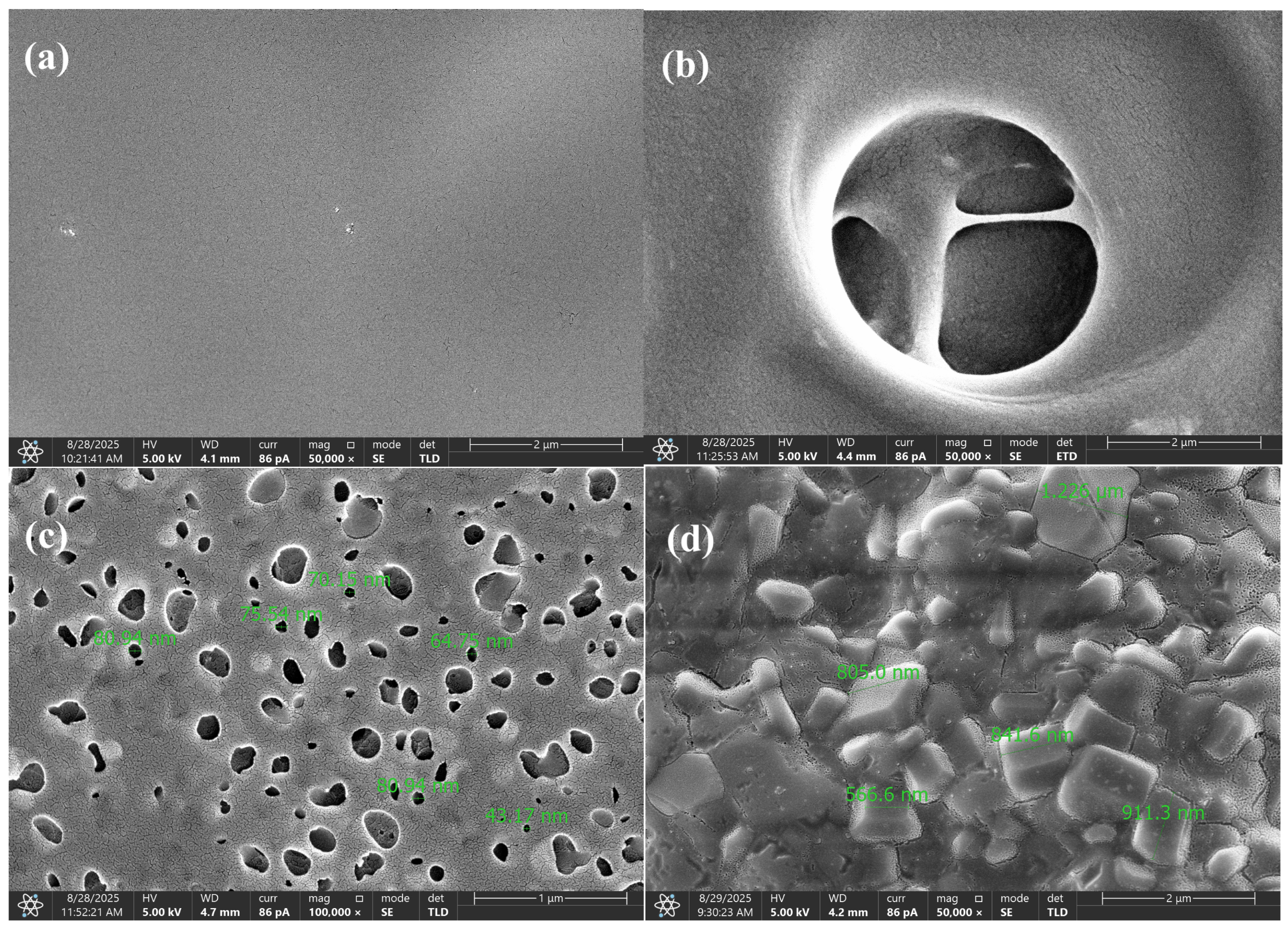 Polymers 17 02805 g009