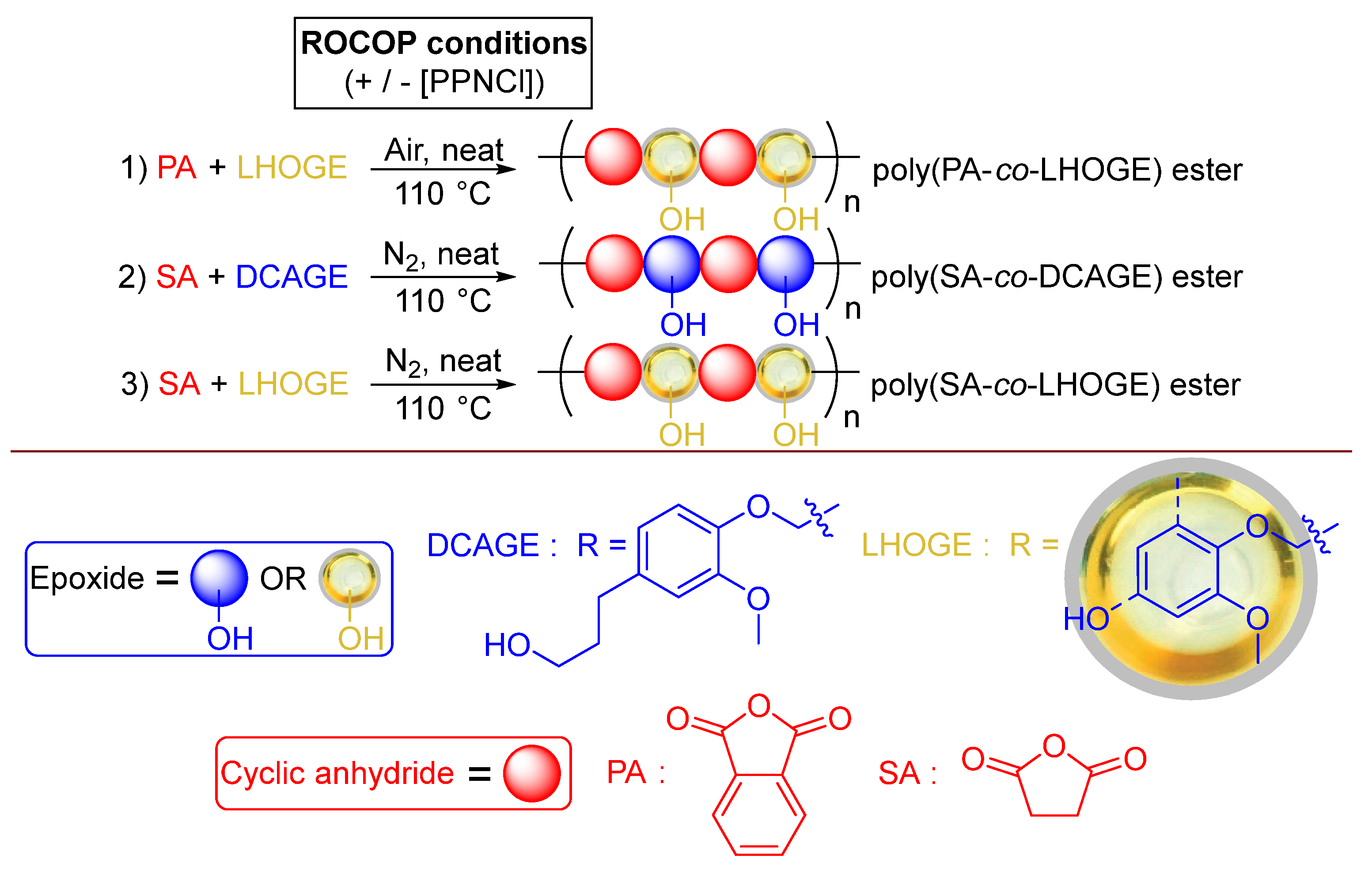 Polymers 17 02806 g004 Polymers 17 02806 g004