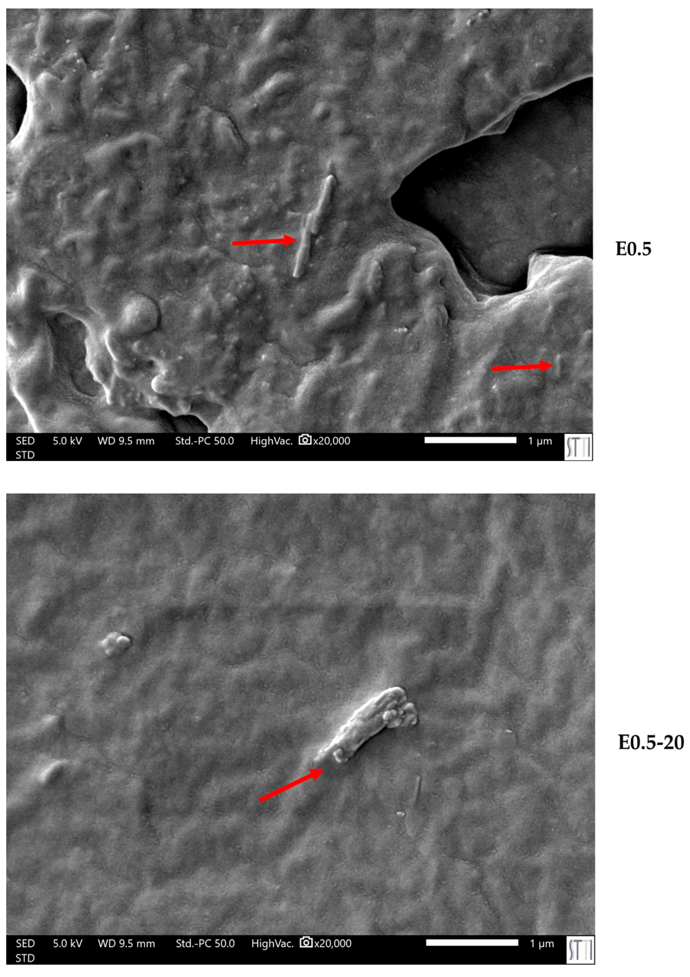 Polymers 17 02807 g013