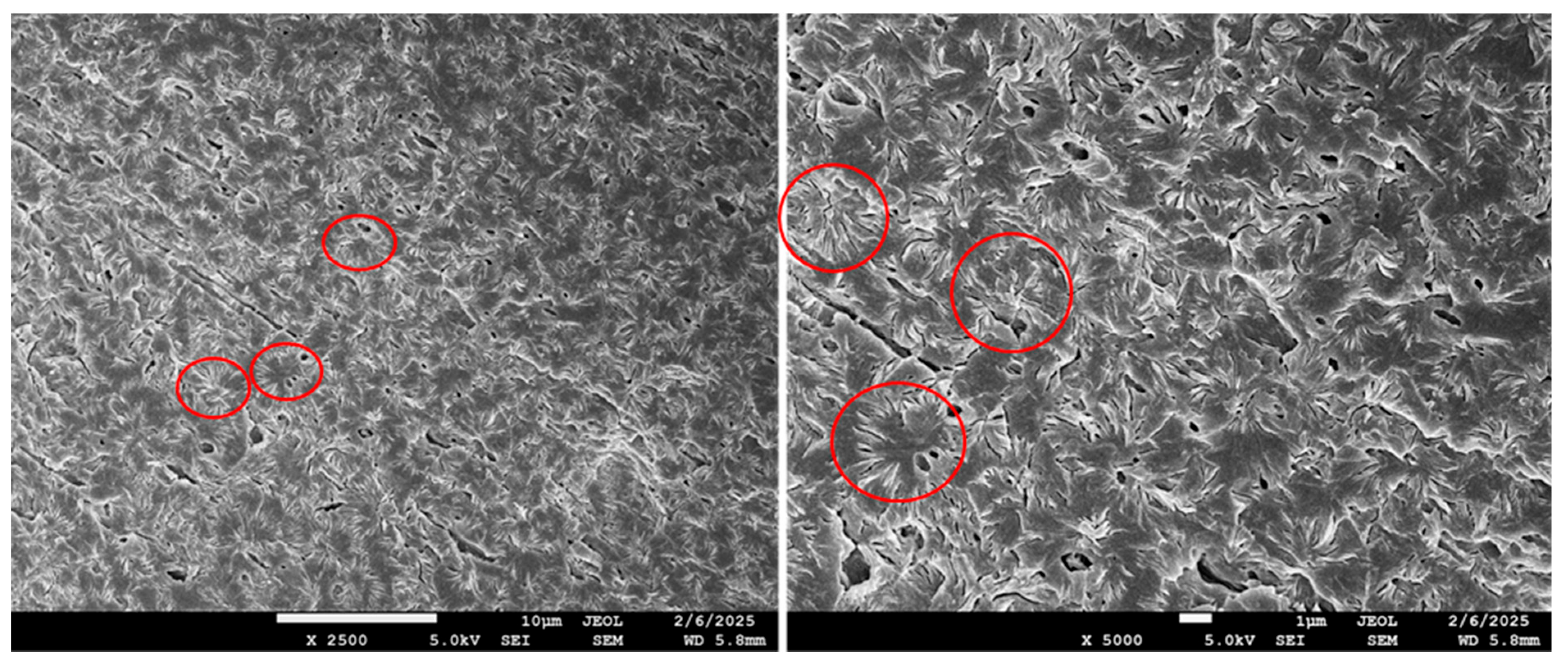 Polymers 17 02811 g008