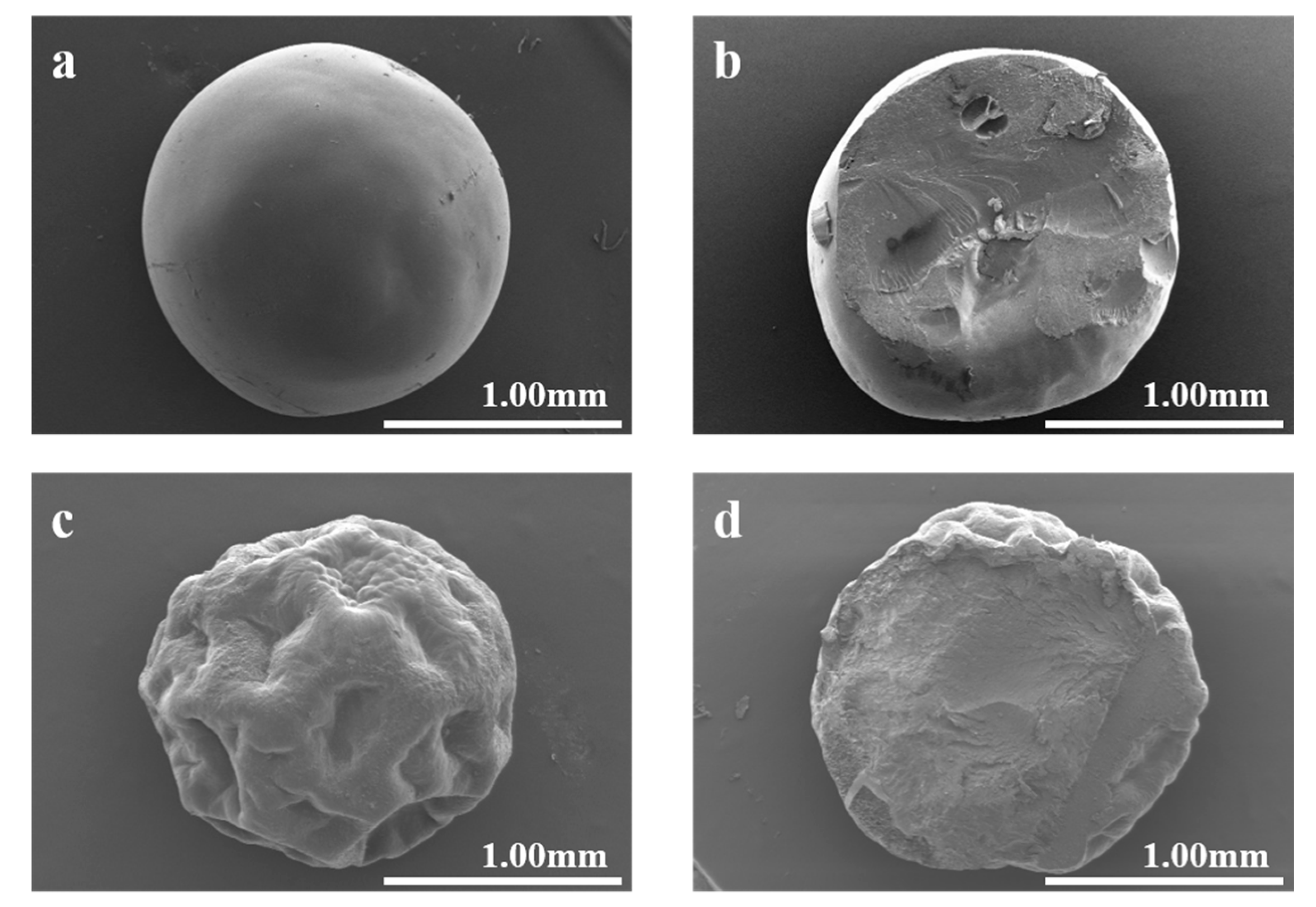 Polymers 17 02815 g001