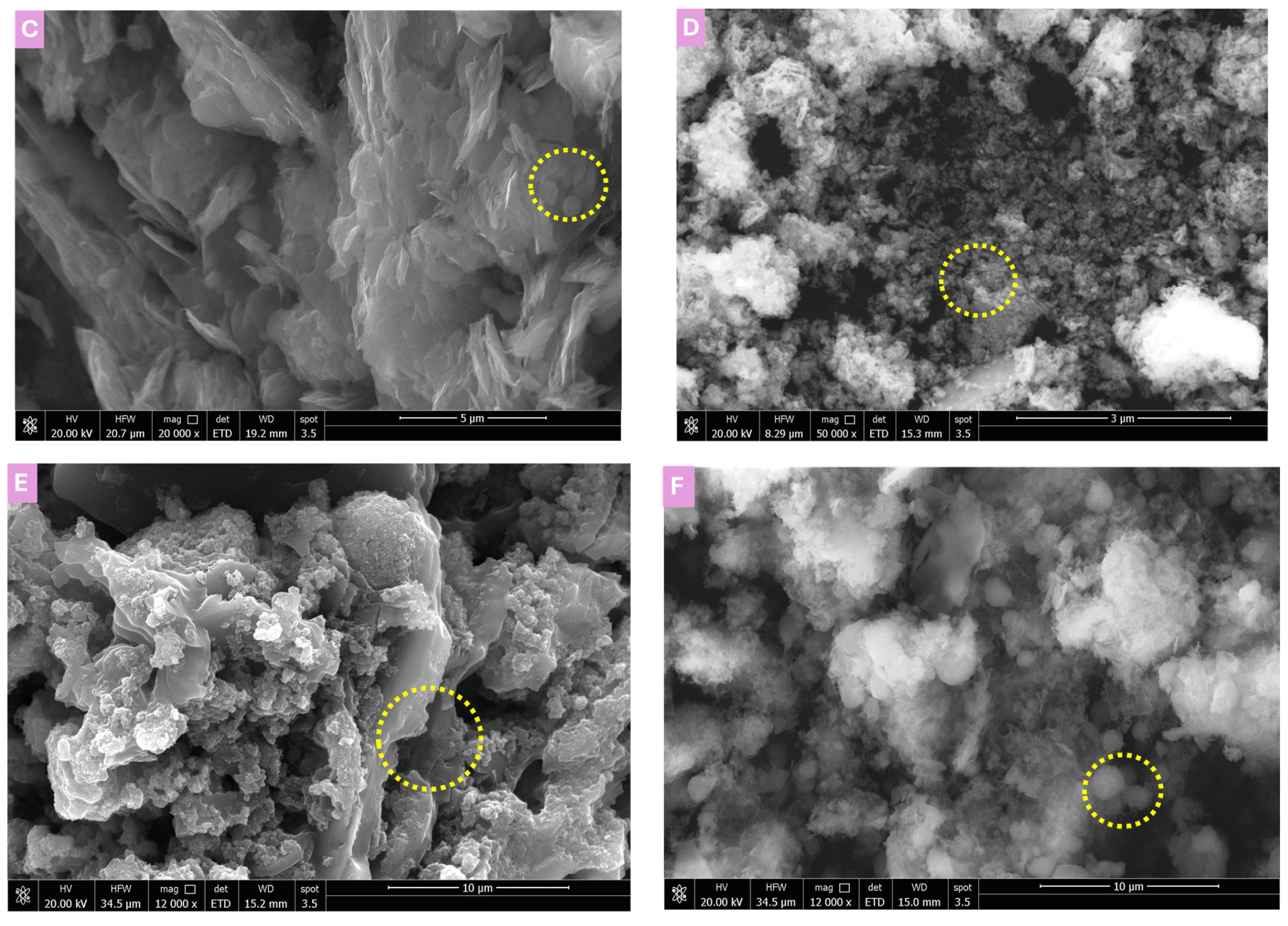 Polymers 17 02818 g003b