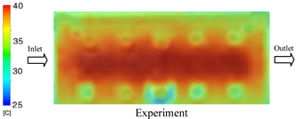 Polymers 17 02823 i005