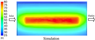 Polymers 17 02823 i010