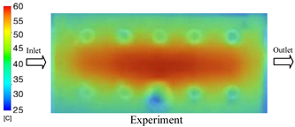 Polymers 17 02823 i032