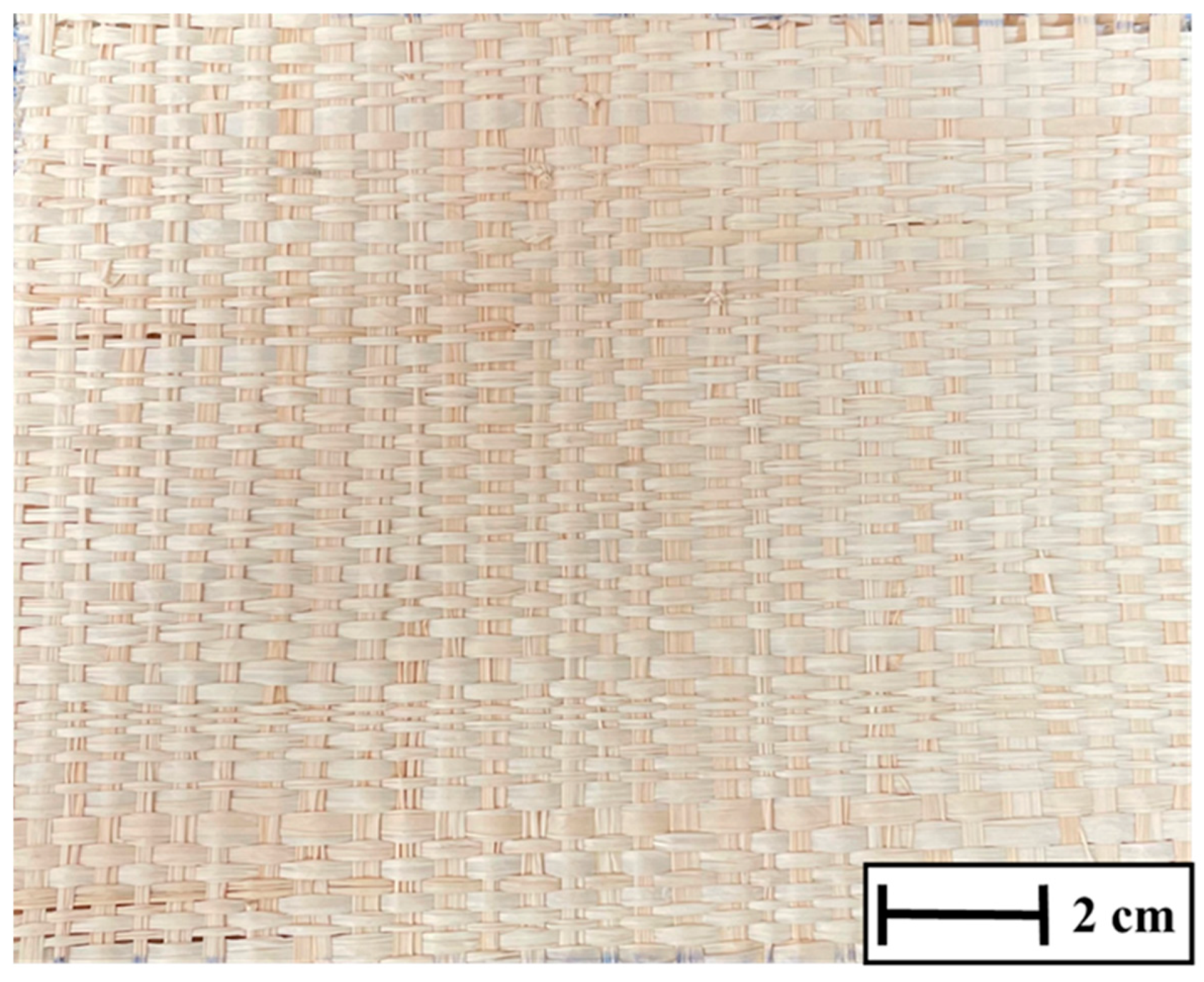 Polymers 17 02827 g001