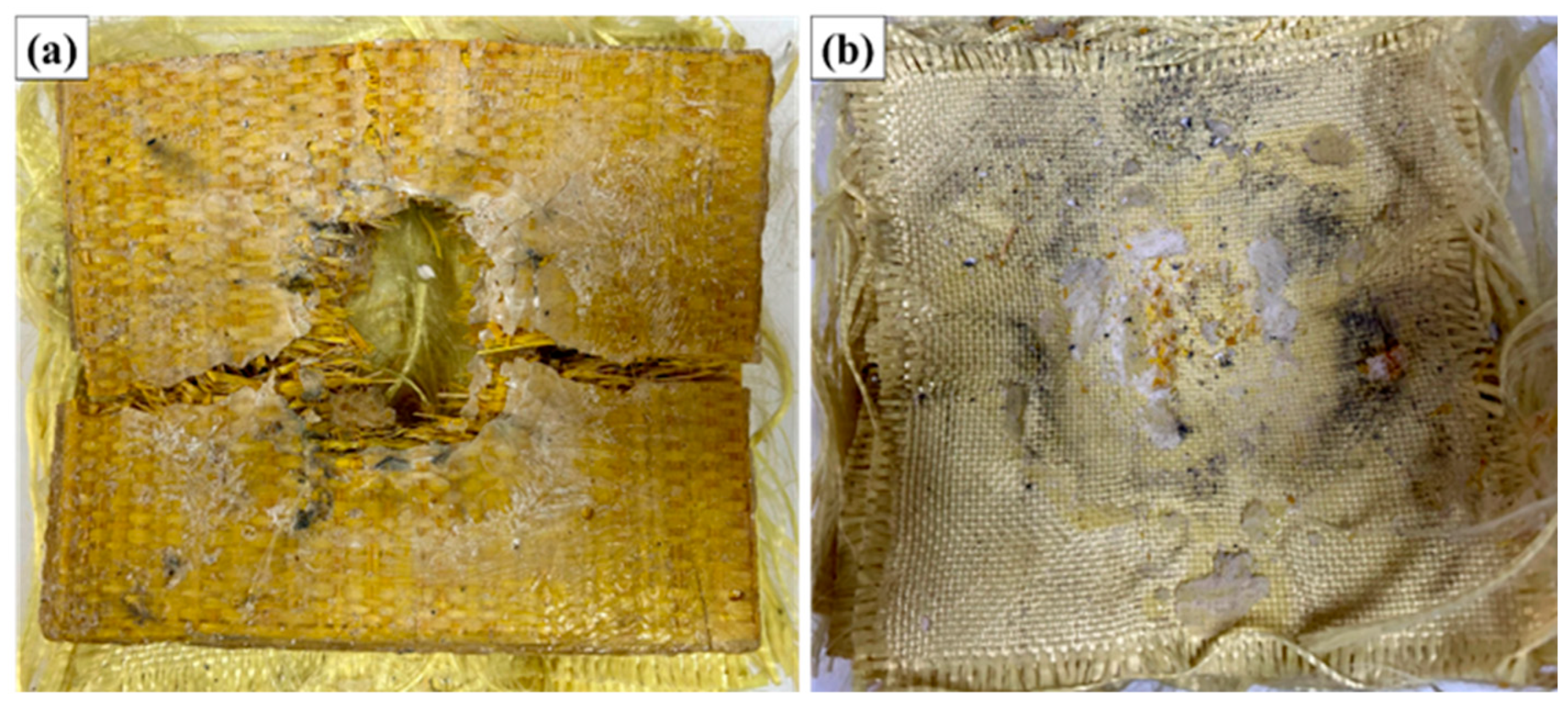 Polymers 17 02827 g007