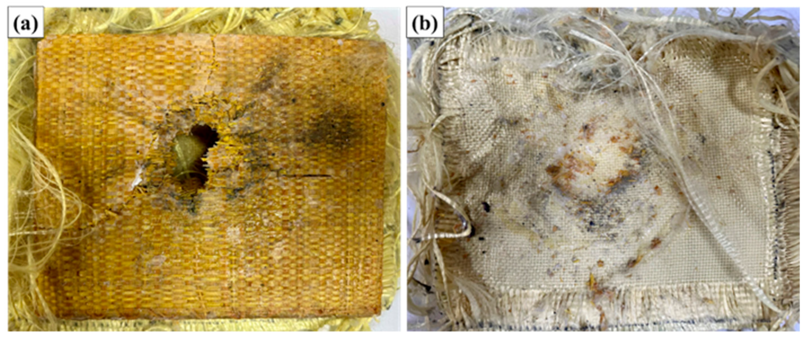 Polymers 17 02827 g008
