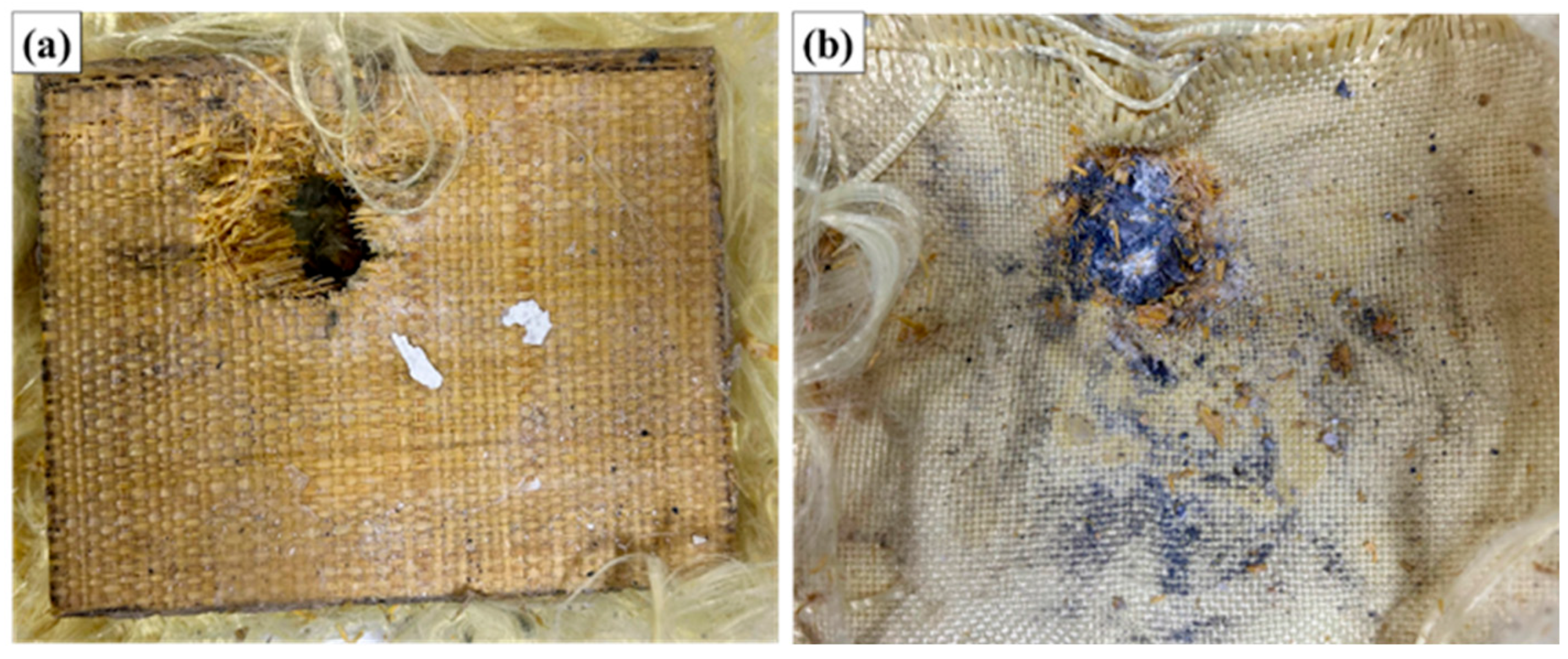 Polymers 17 02827 g009