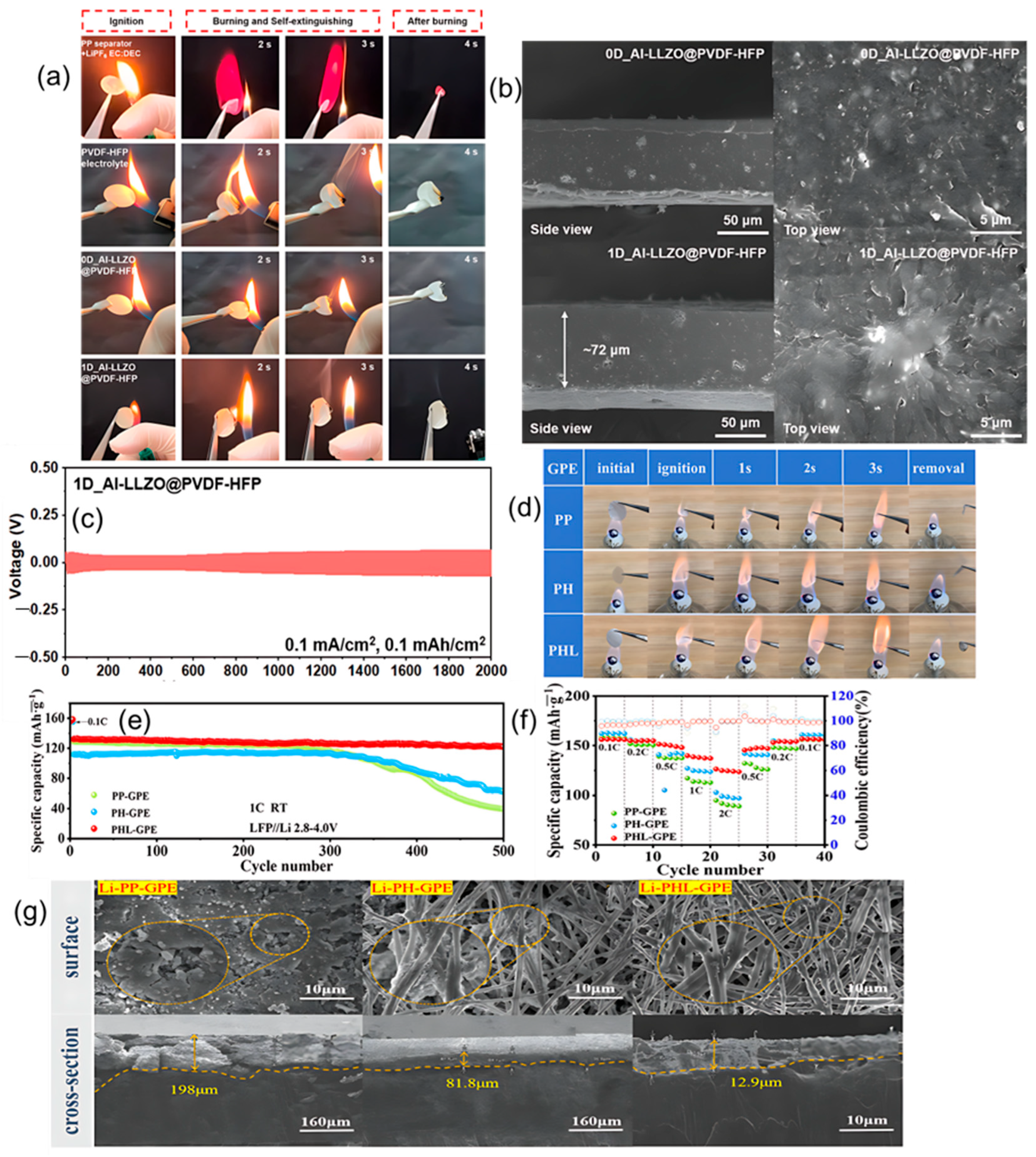 Polymers 17 02828 g003 Polymers 17 02828 g003