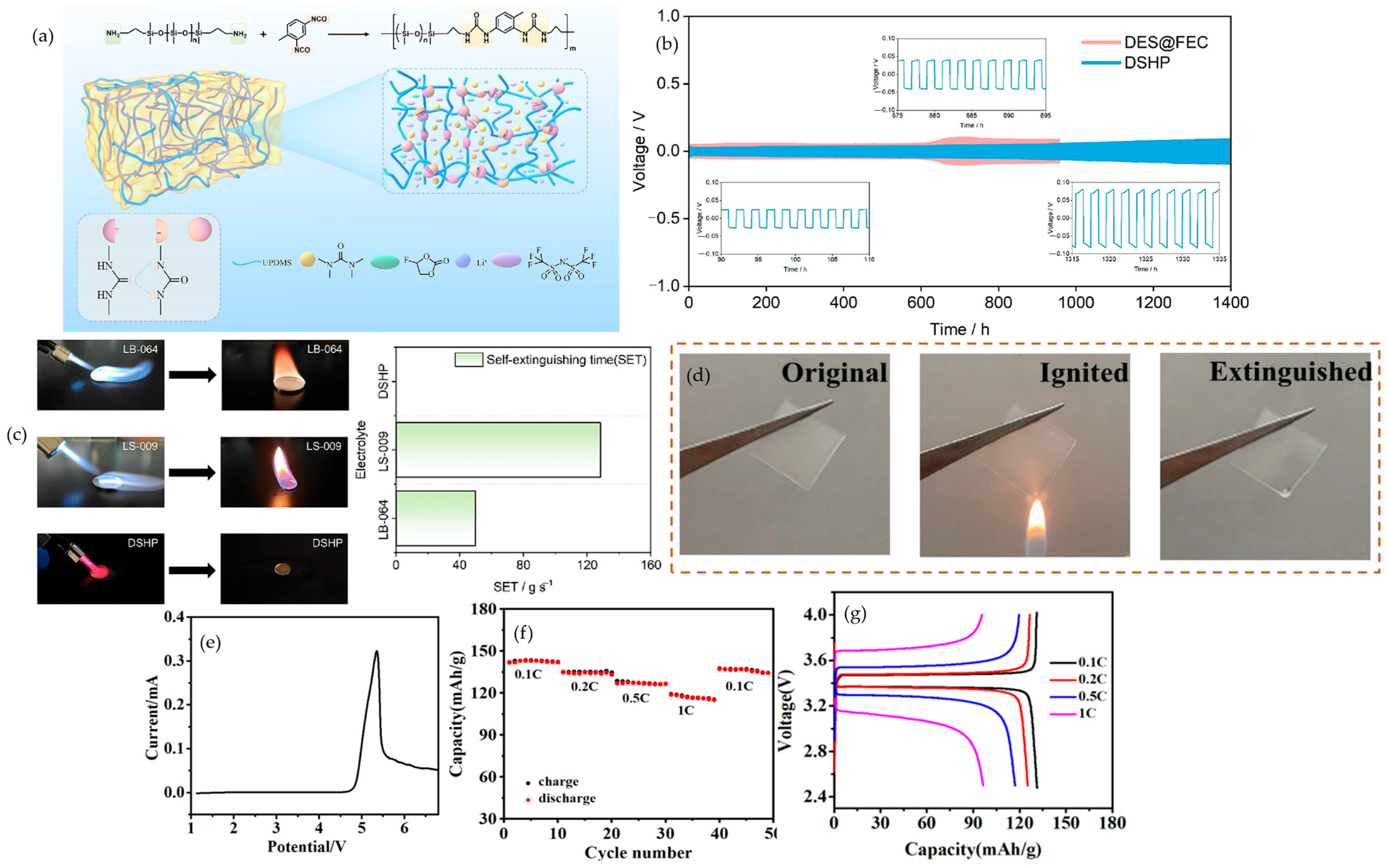 Polymers 17 02828 g009 Polymers 17 02828 g009