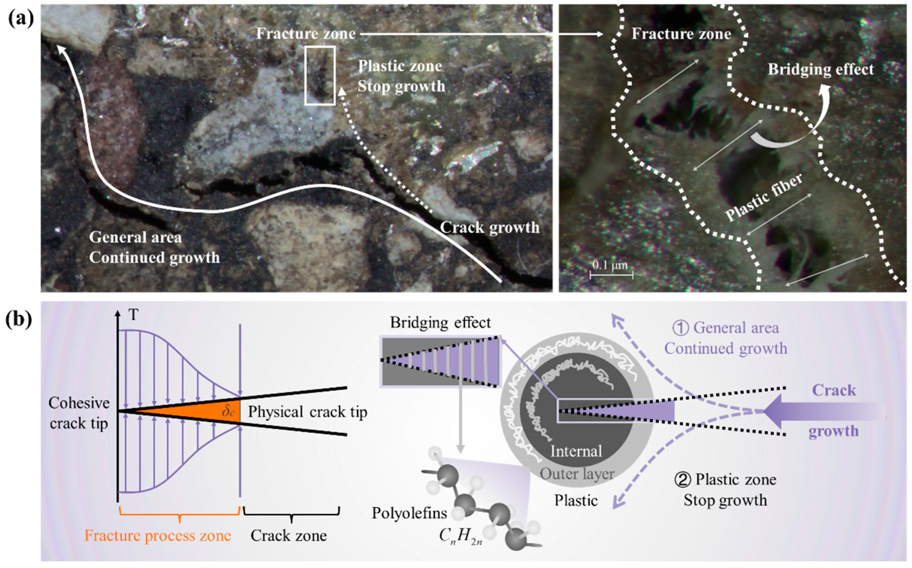 Polymers 17 02840 g013 Polymers 17 02840 g013