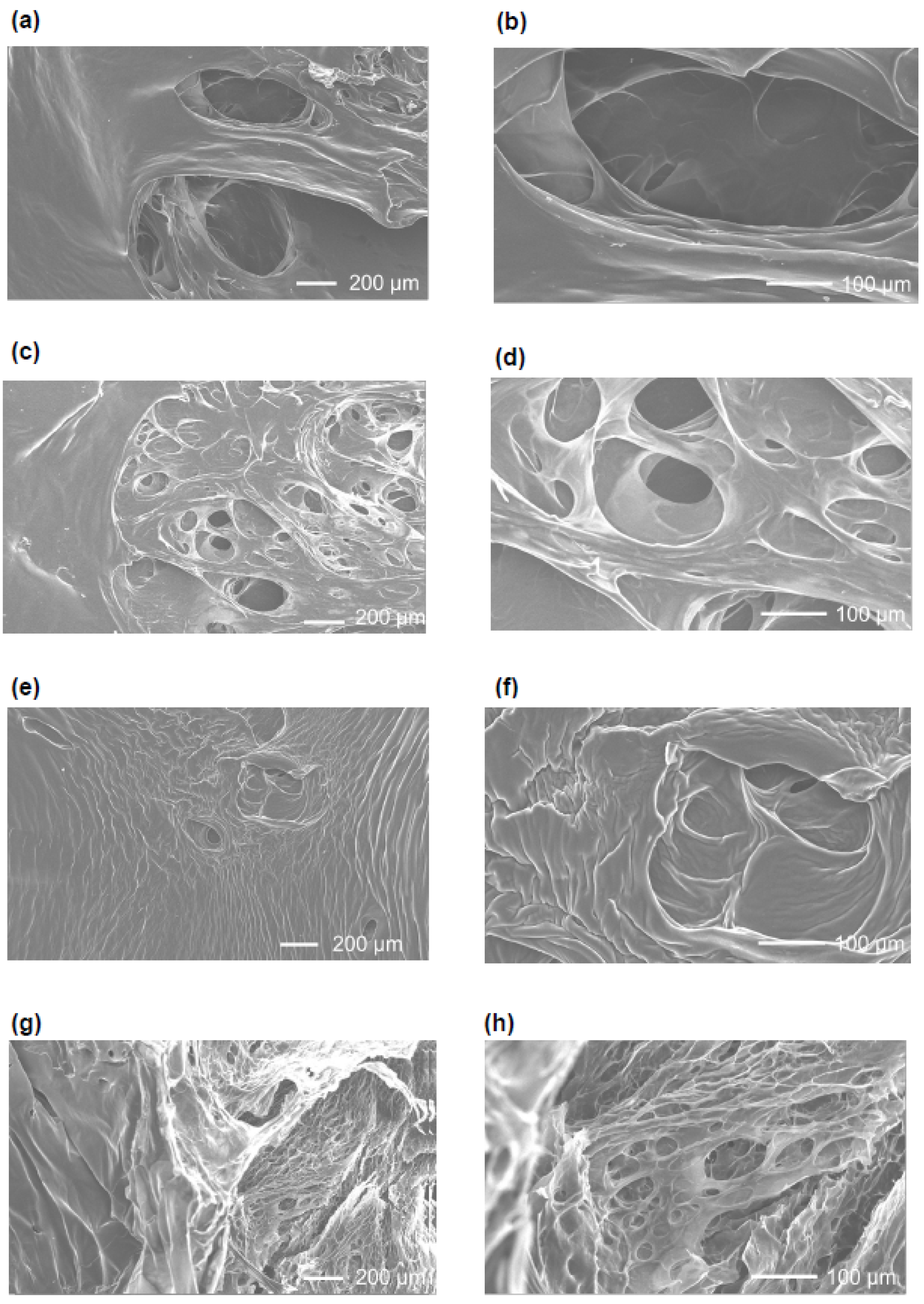 Polymers 17 02845 g001