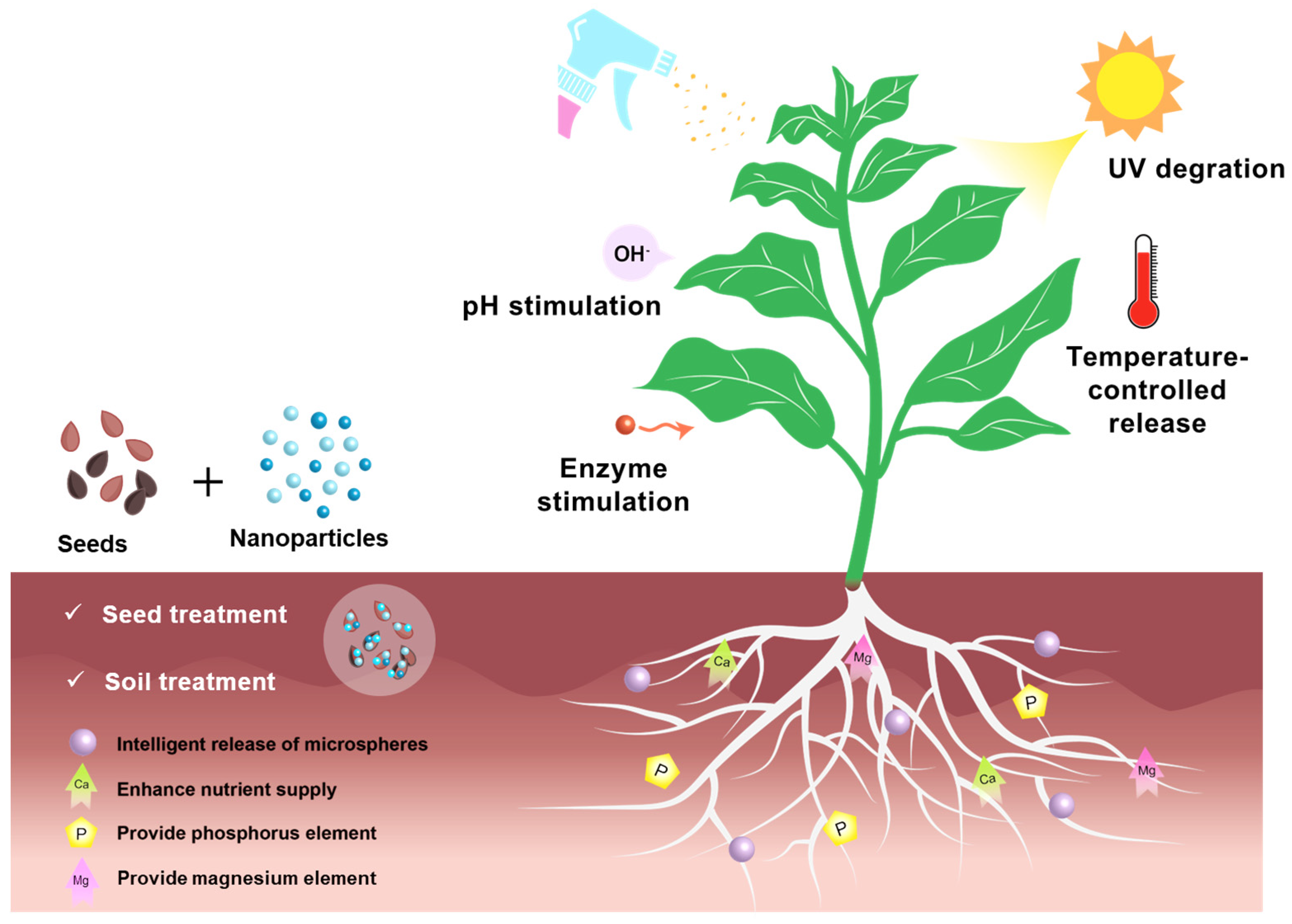 Polymers 17 02851 g001