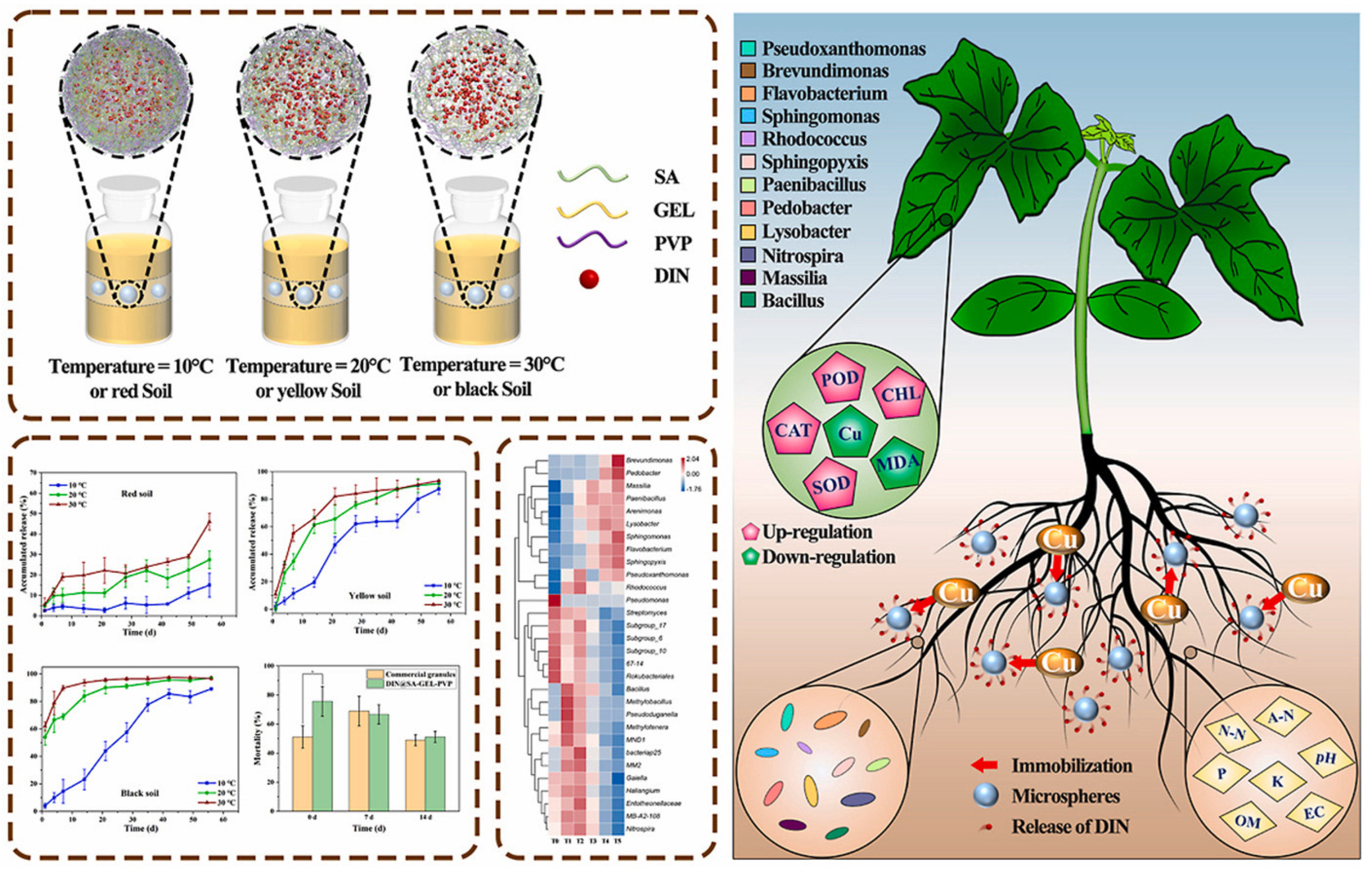 Polymers 17 02851 g004