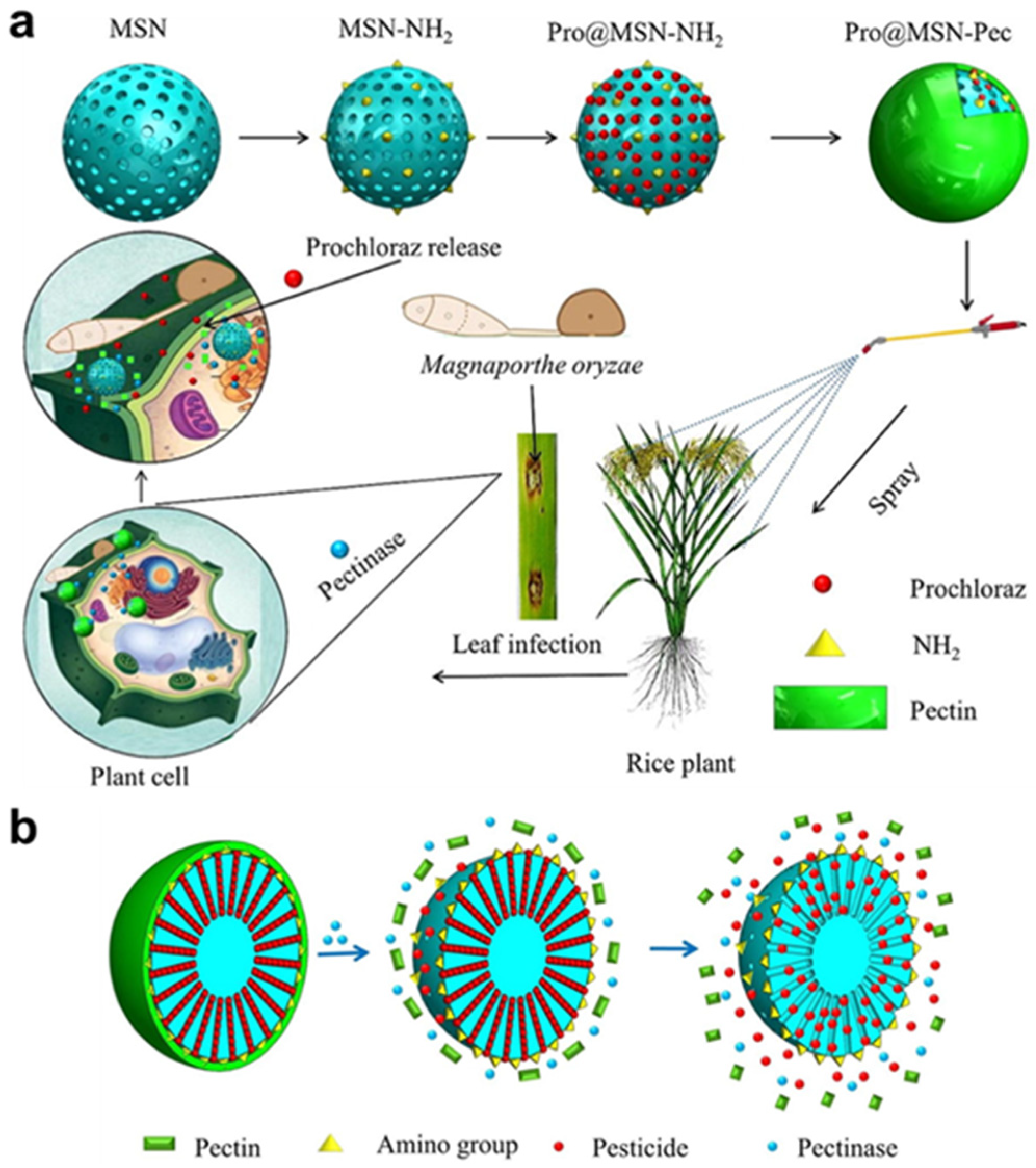 Polymers 17 02851 g006
