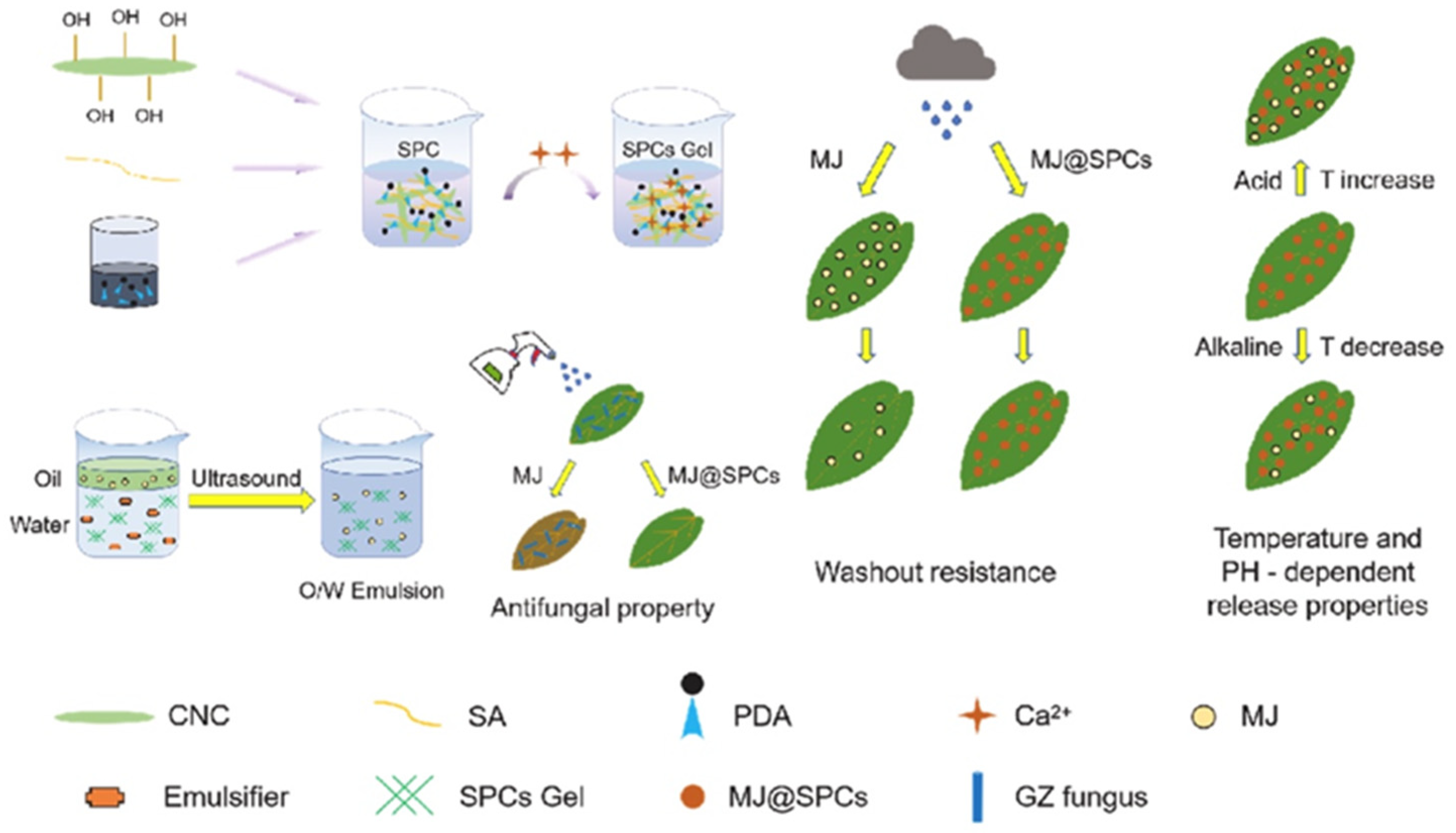 Polymers 17 02851 g010