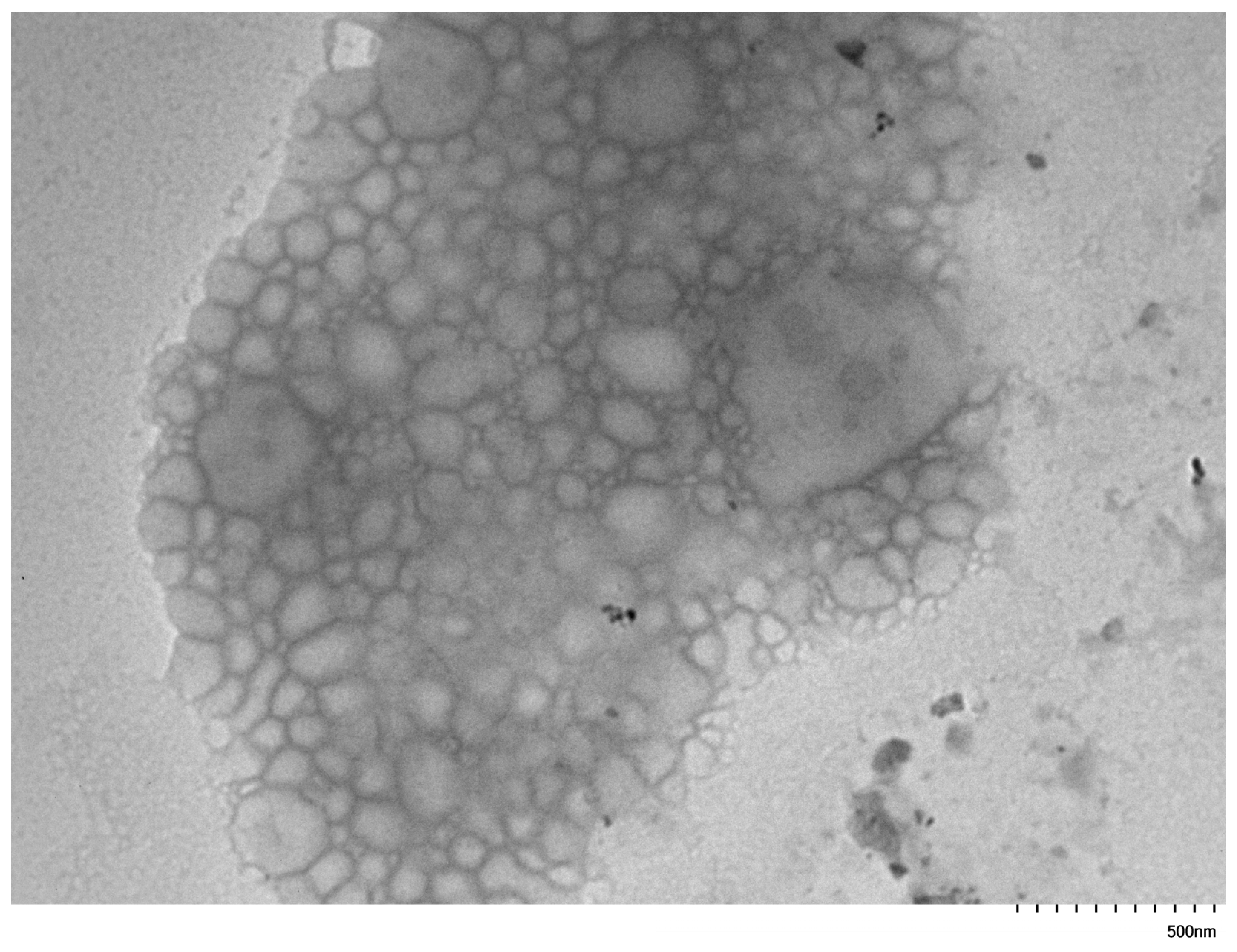 Polymers 17 02852 g009 Polymers 17 02852 g009