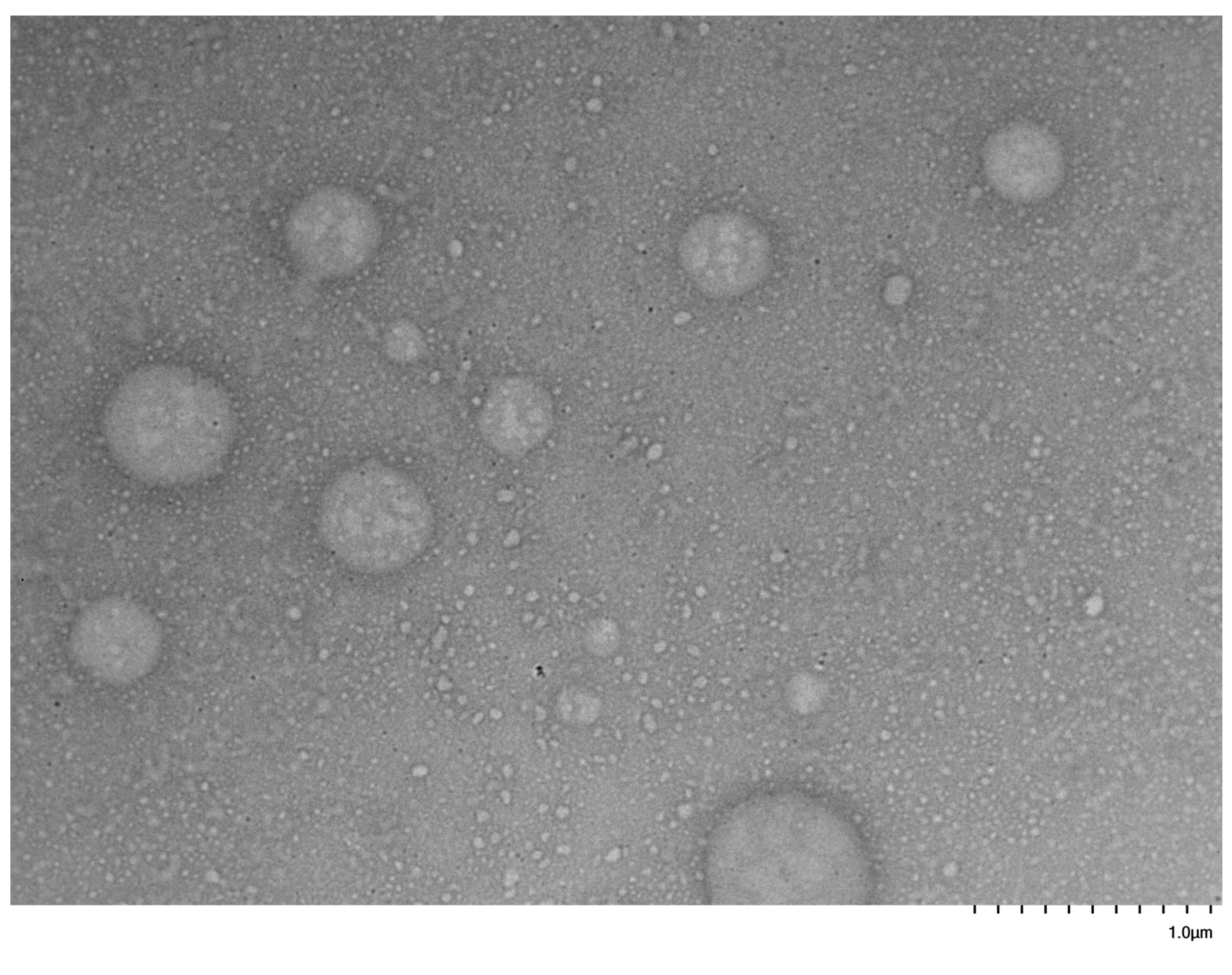 Polymers 17 02852 g010 Polymers 17 02852 g010