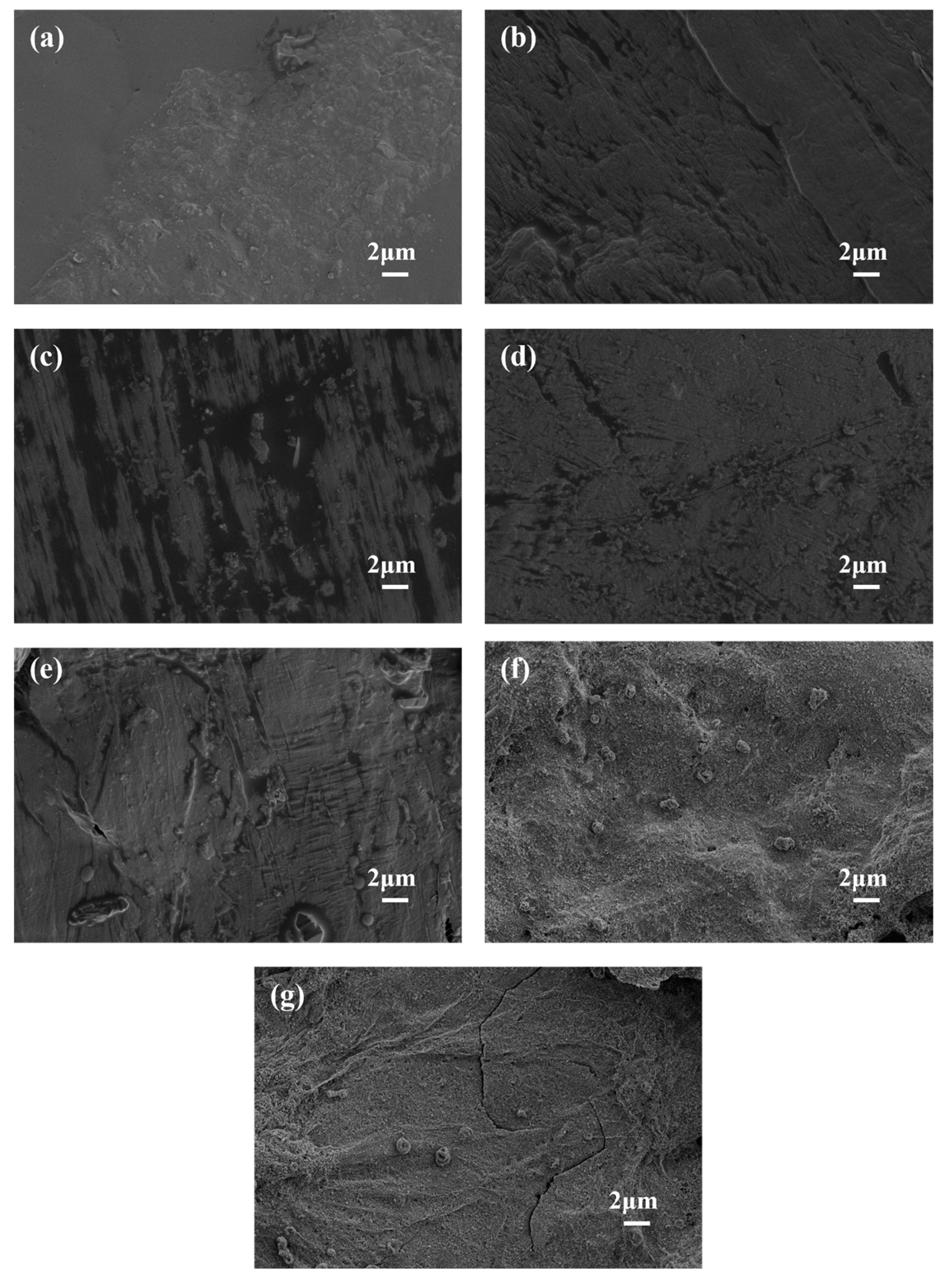 Polymers 17 02854 g007 Polymers 17 02854 g007