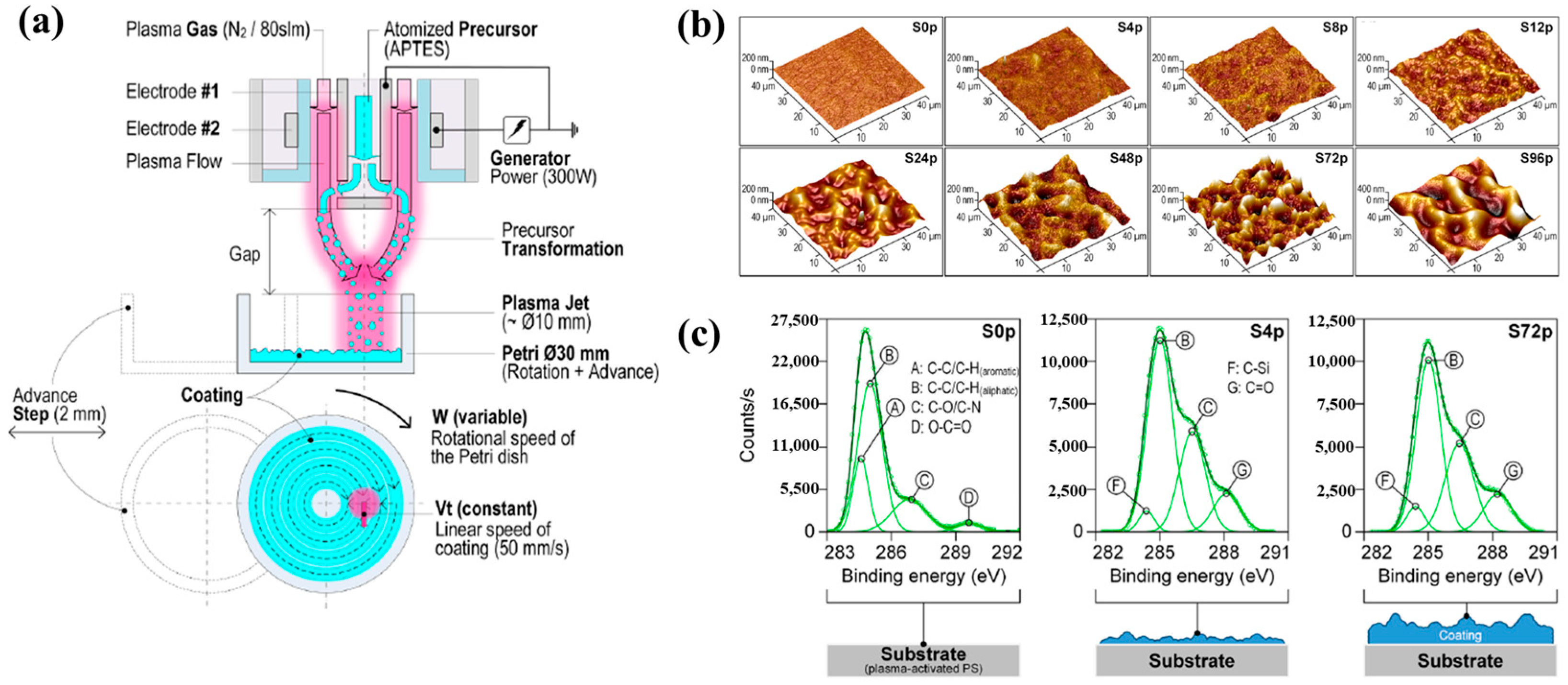 Polymers 17 02856 g004