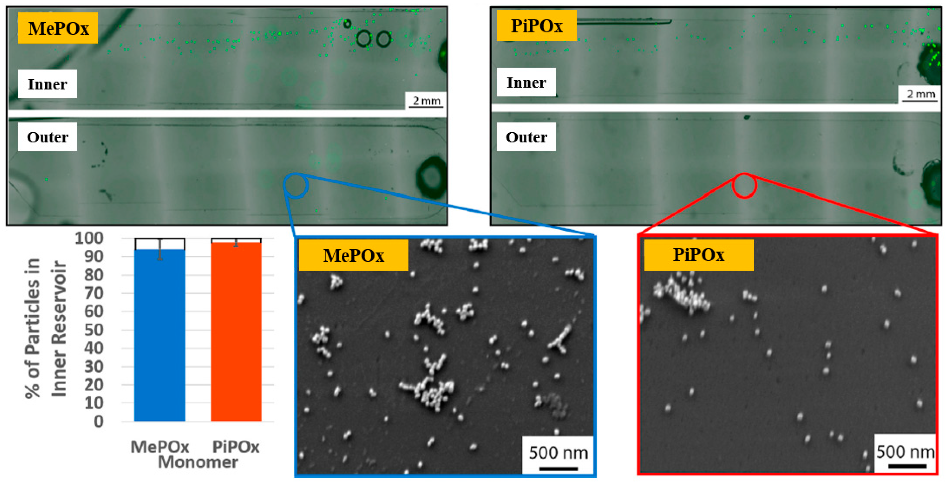 Polymers 17 02856 g021